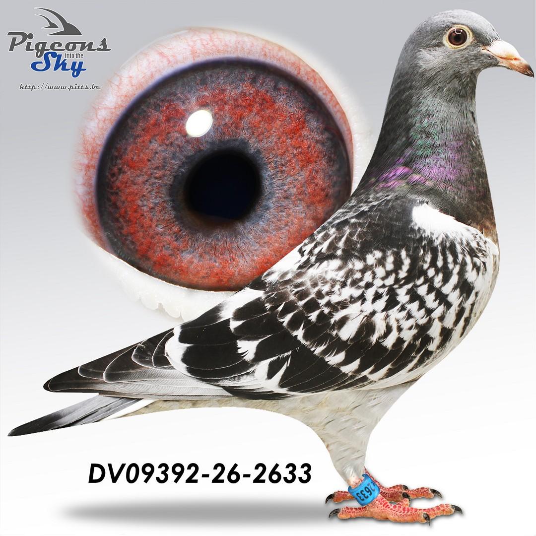De 2633