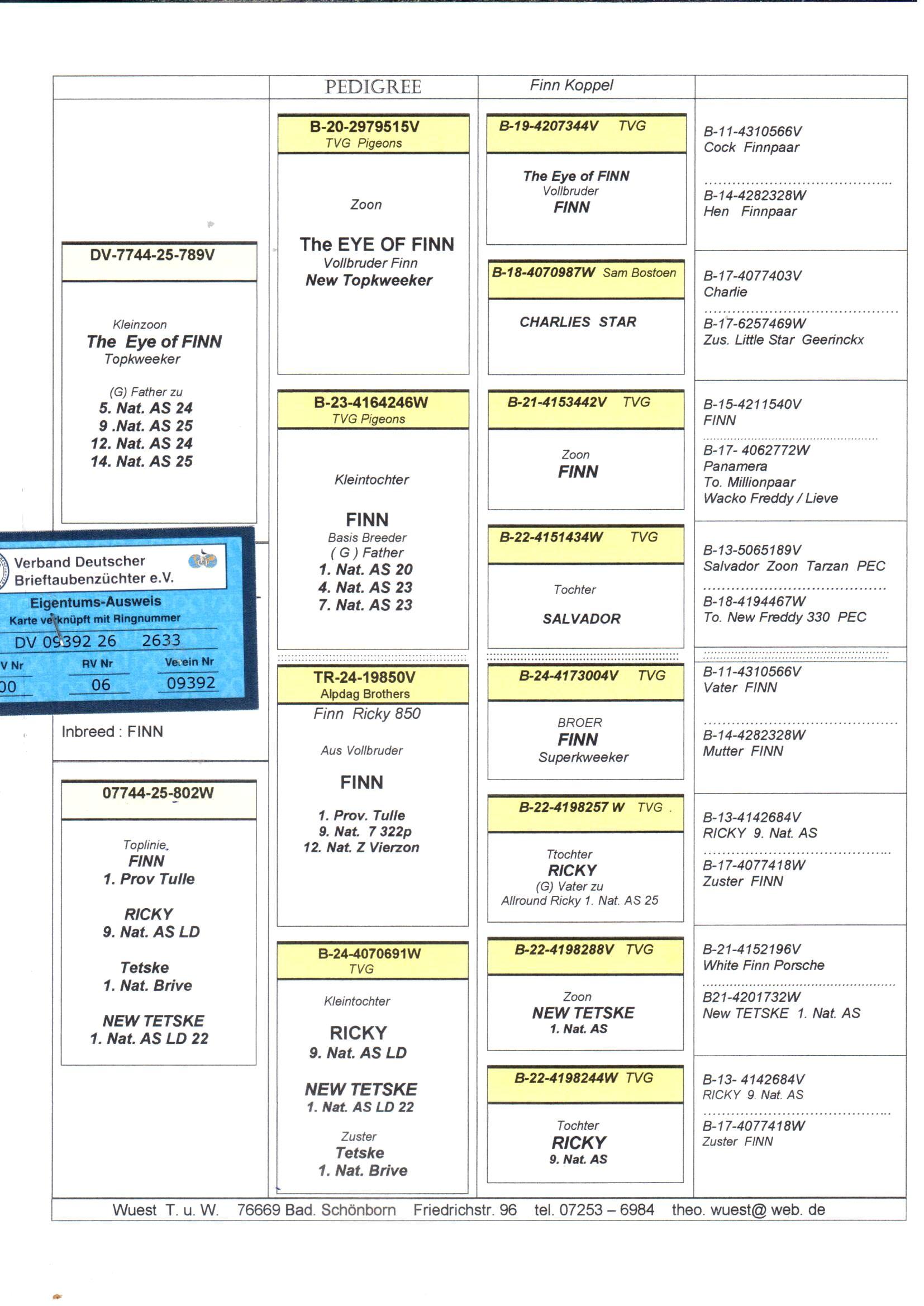 pedigree De 2633