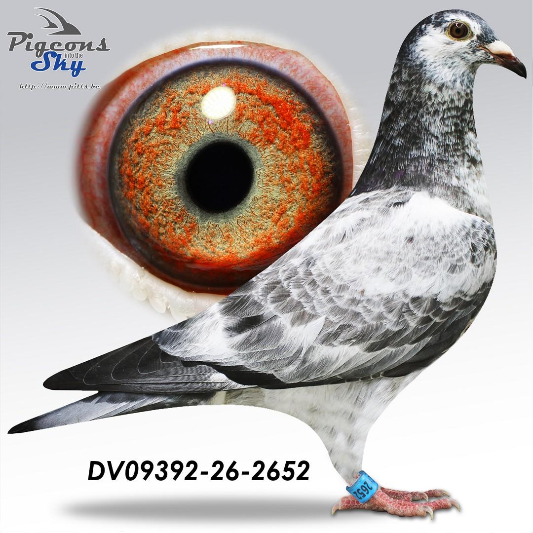 De 2652