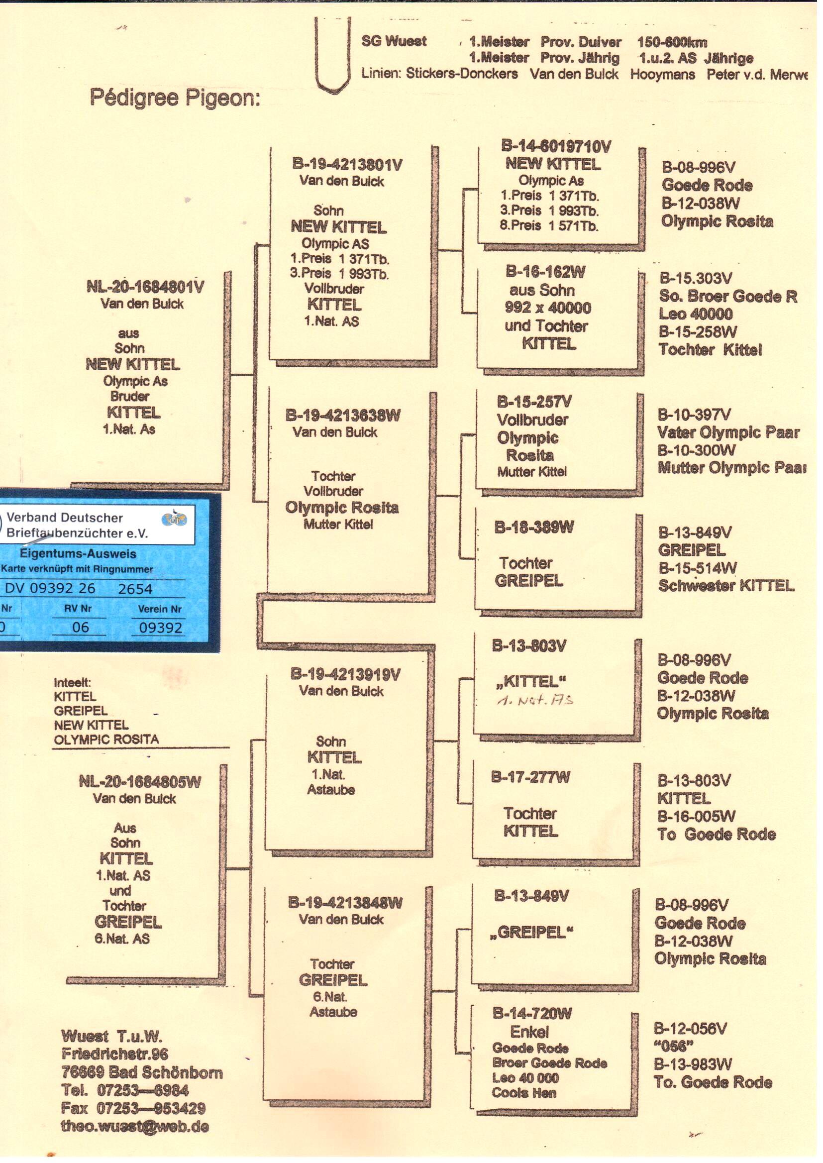 pedigree De 2654