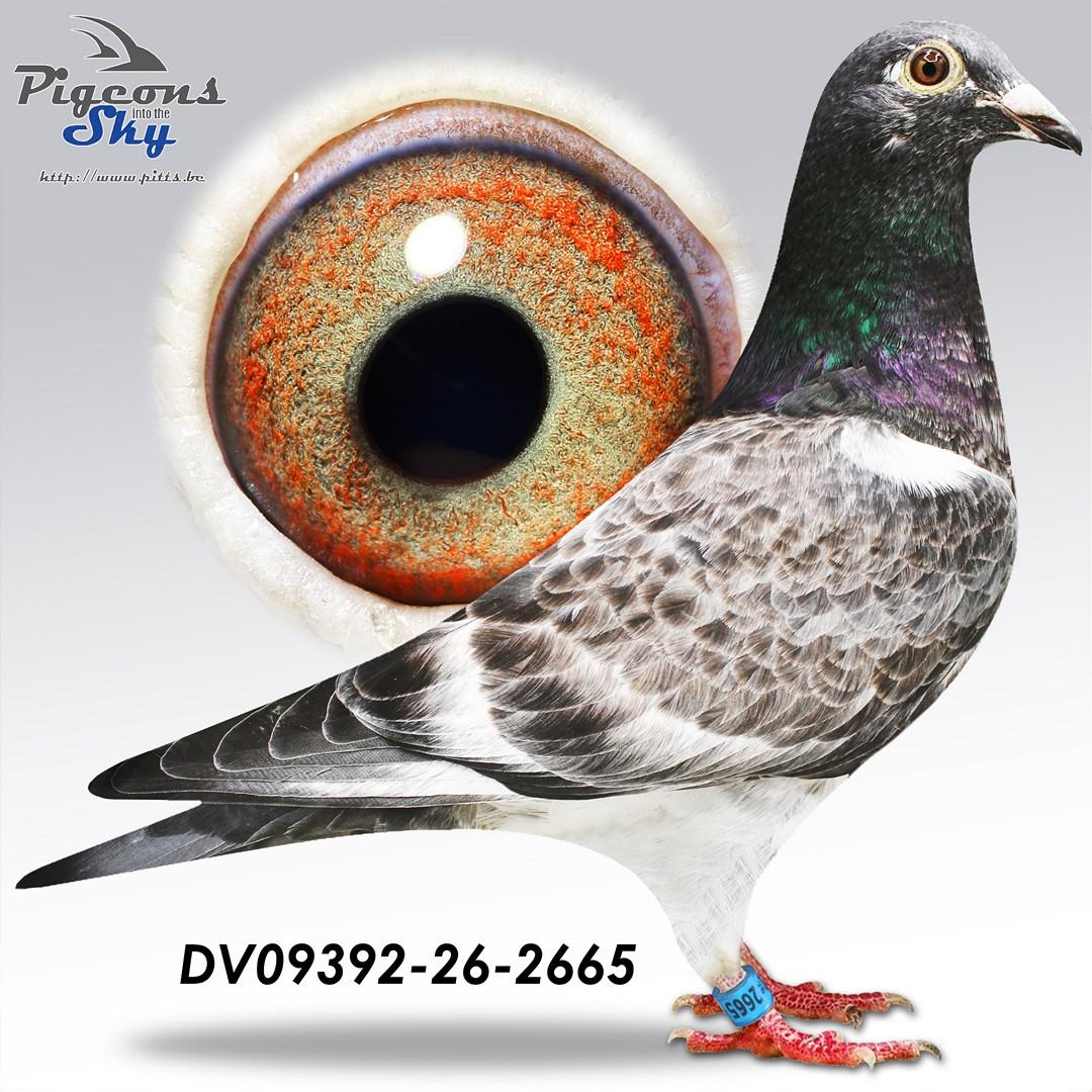De 2665