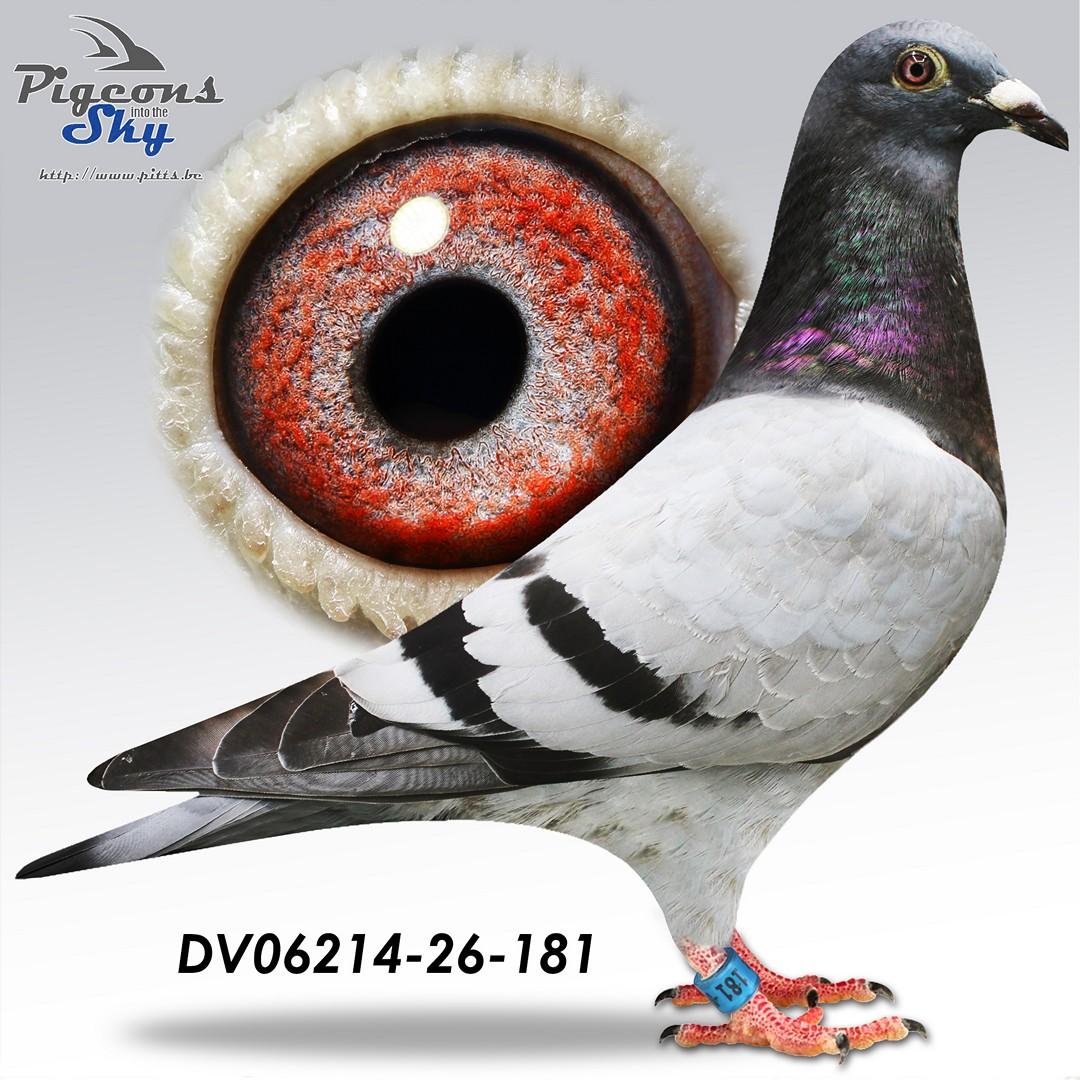 De 181