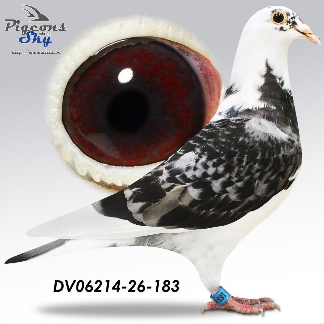 De 183