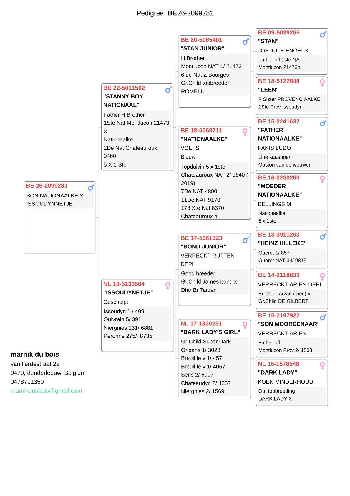 pedigree Son Nationaalke x Issoudynnetje