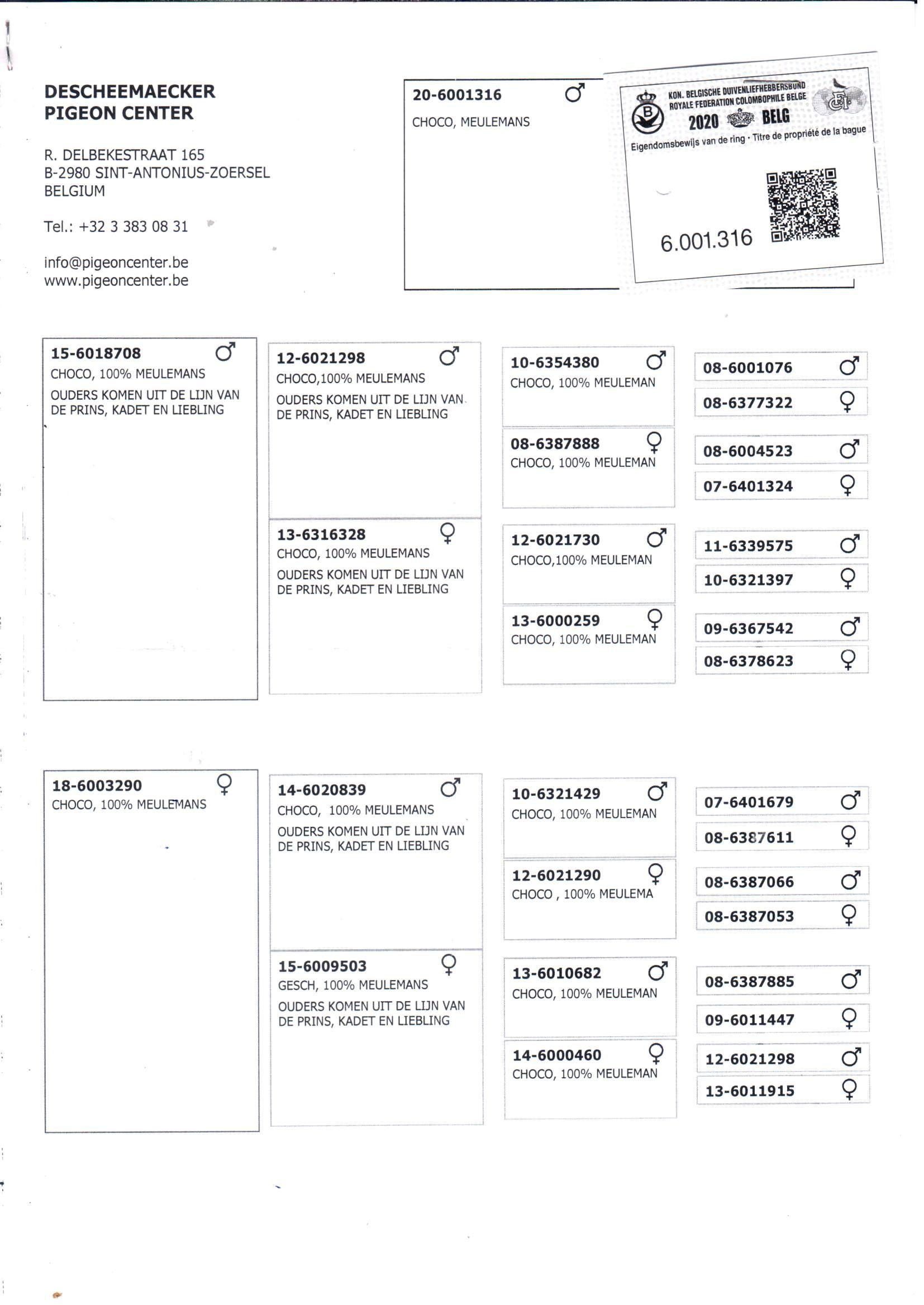 pedigree De 316
