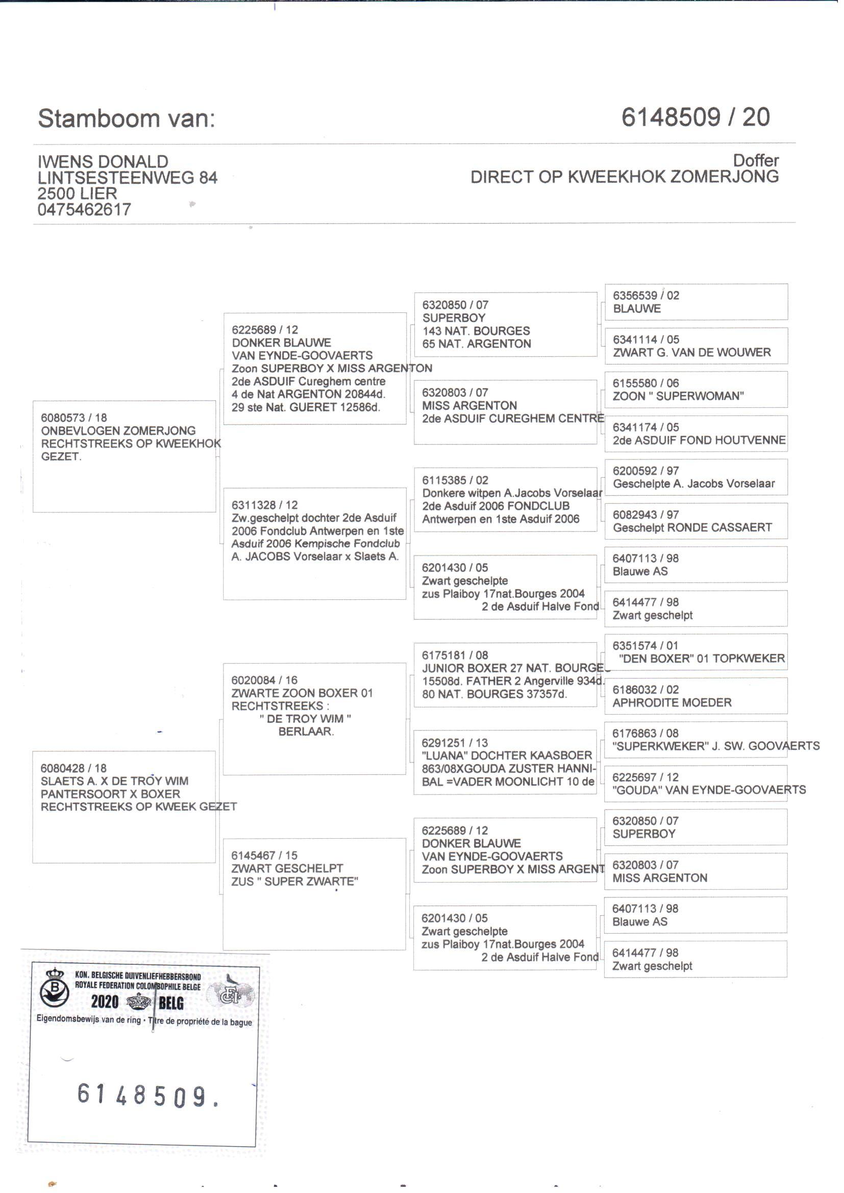 pedigree De 509