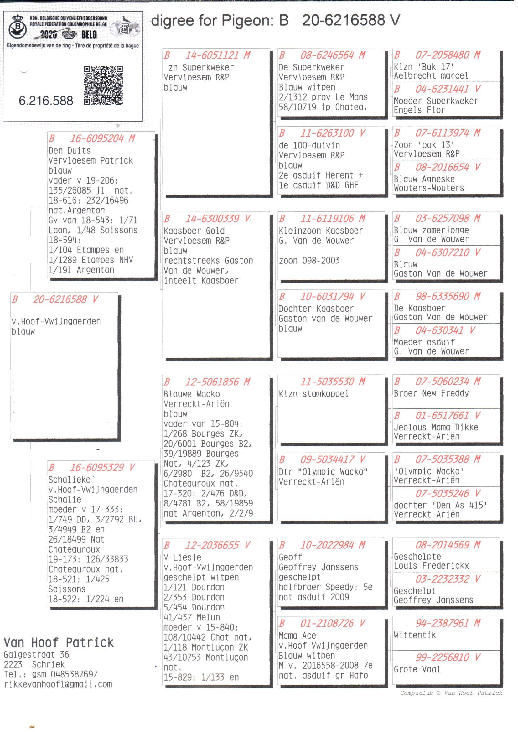 pedigree De 588