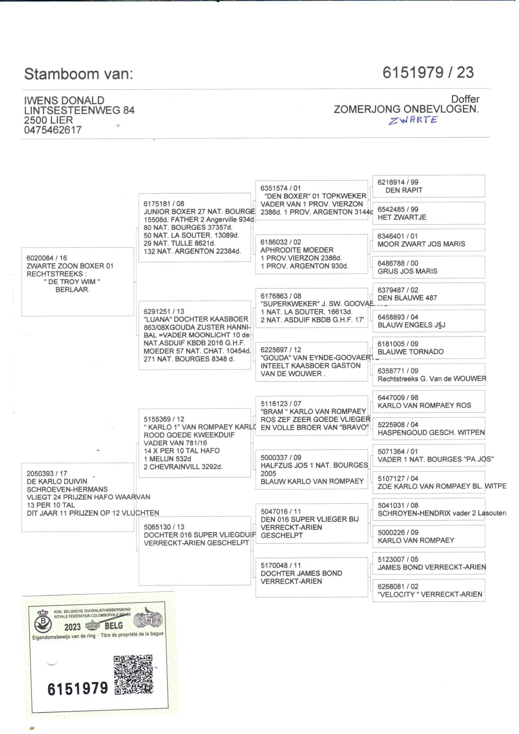 pedigree De 979