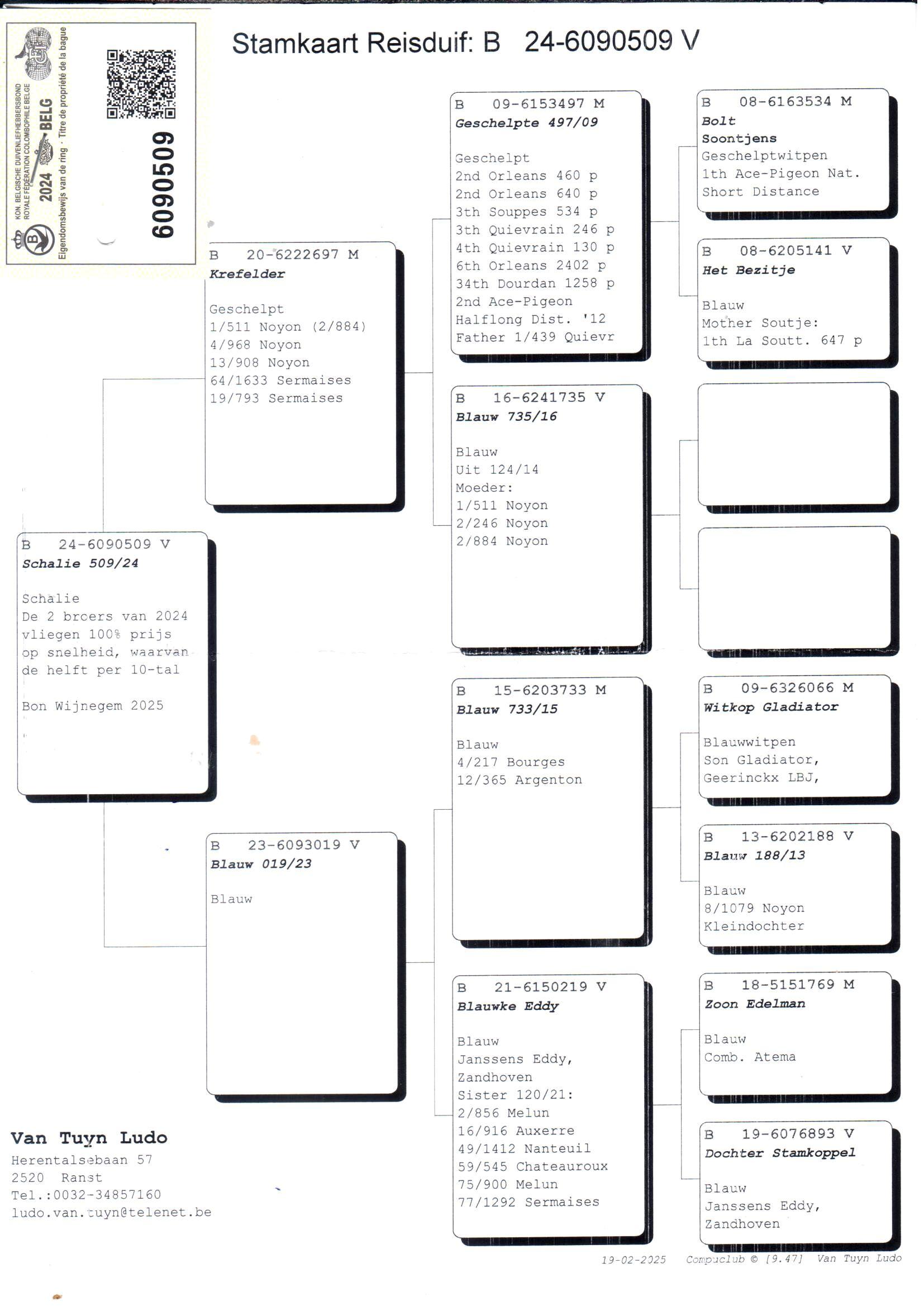 pedigree Schalie 509/24