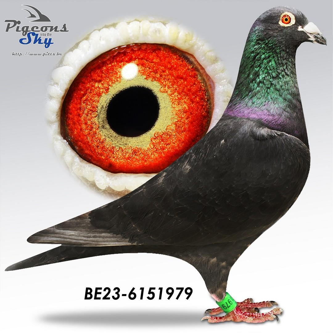 De 979