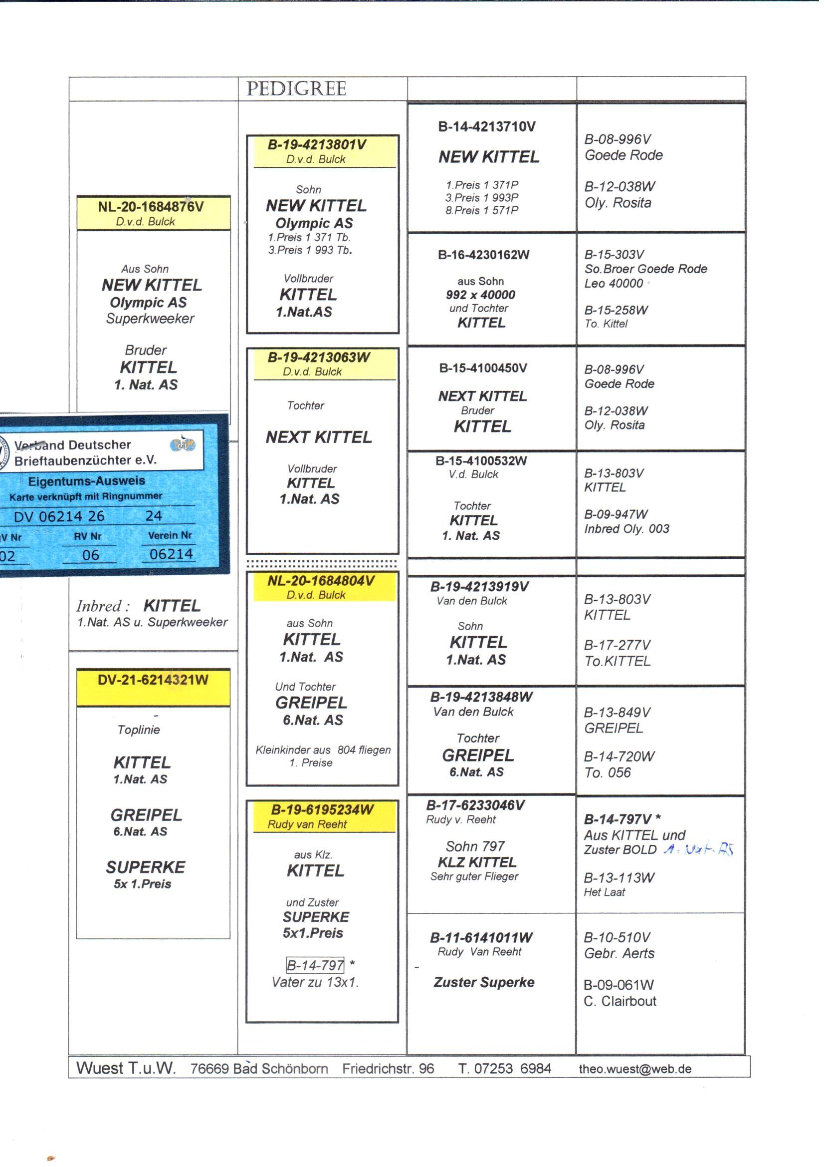 pedigree De 24