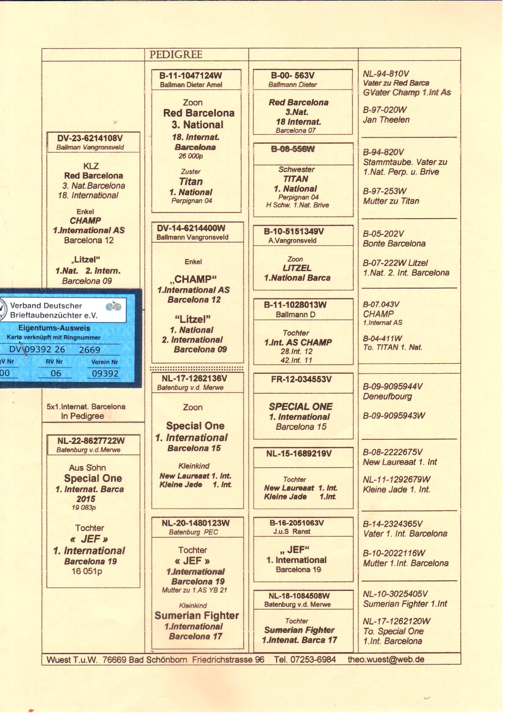 pedigree De 2669