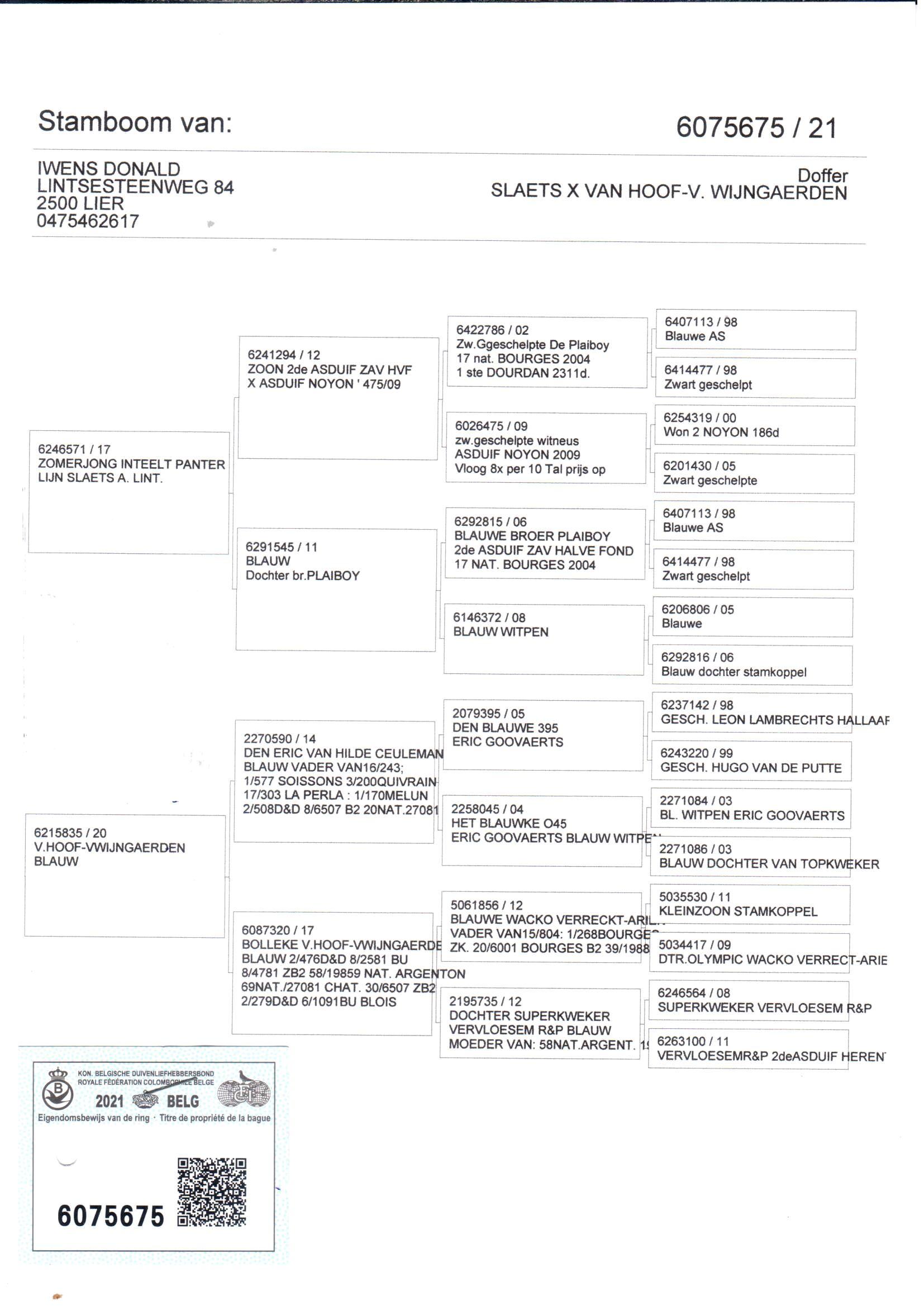 pedigree De 675