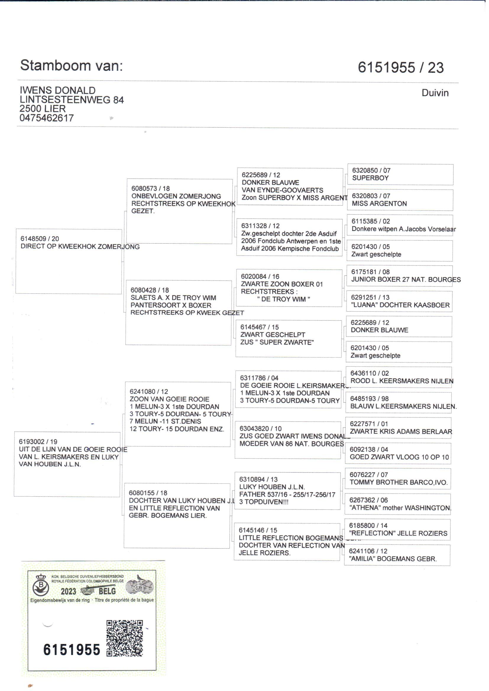pedigree De 955