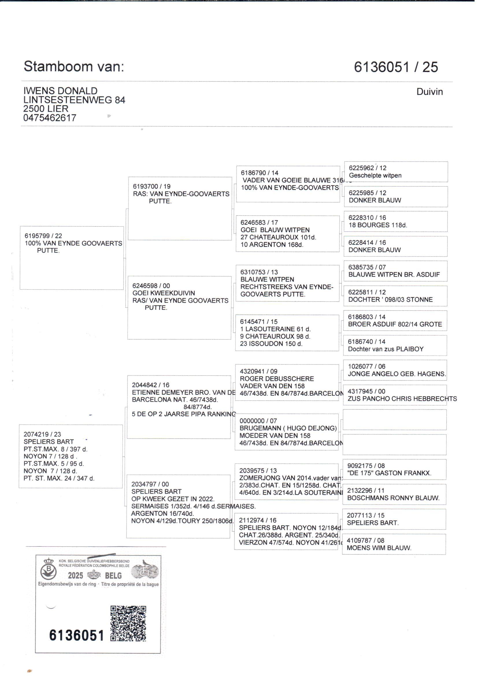 pedigree De 051
