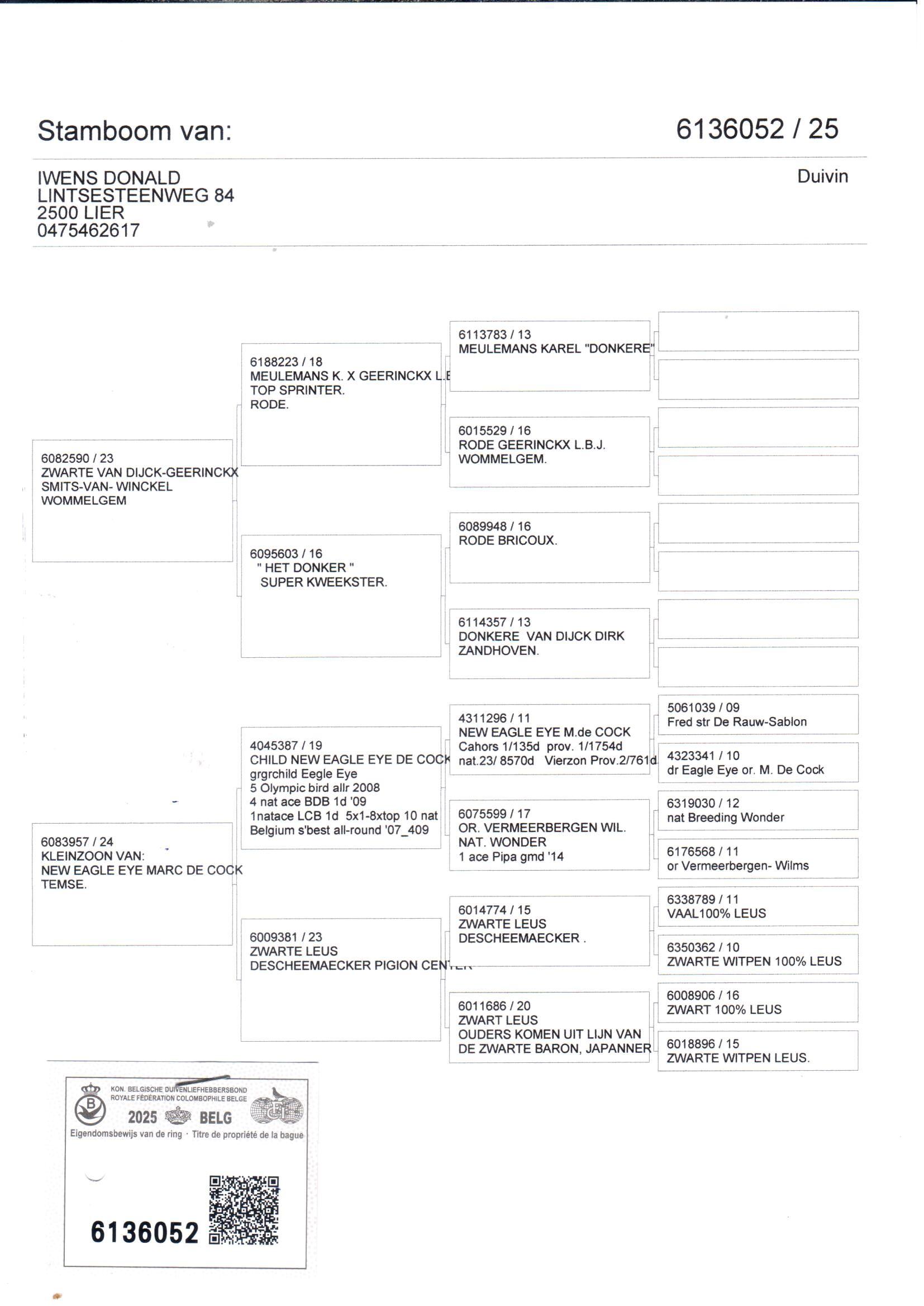 pedigree De 052