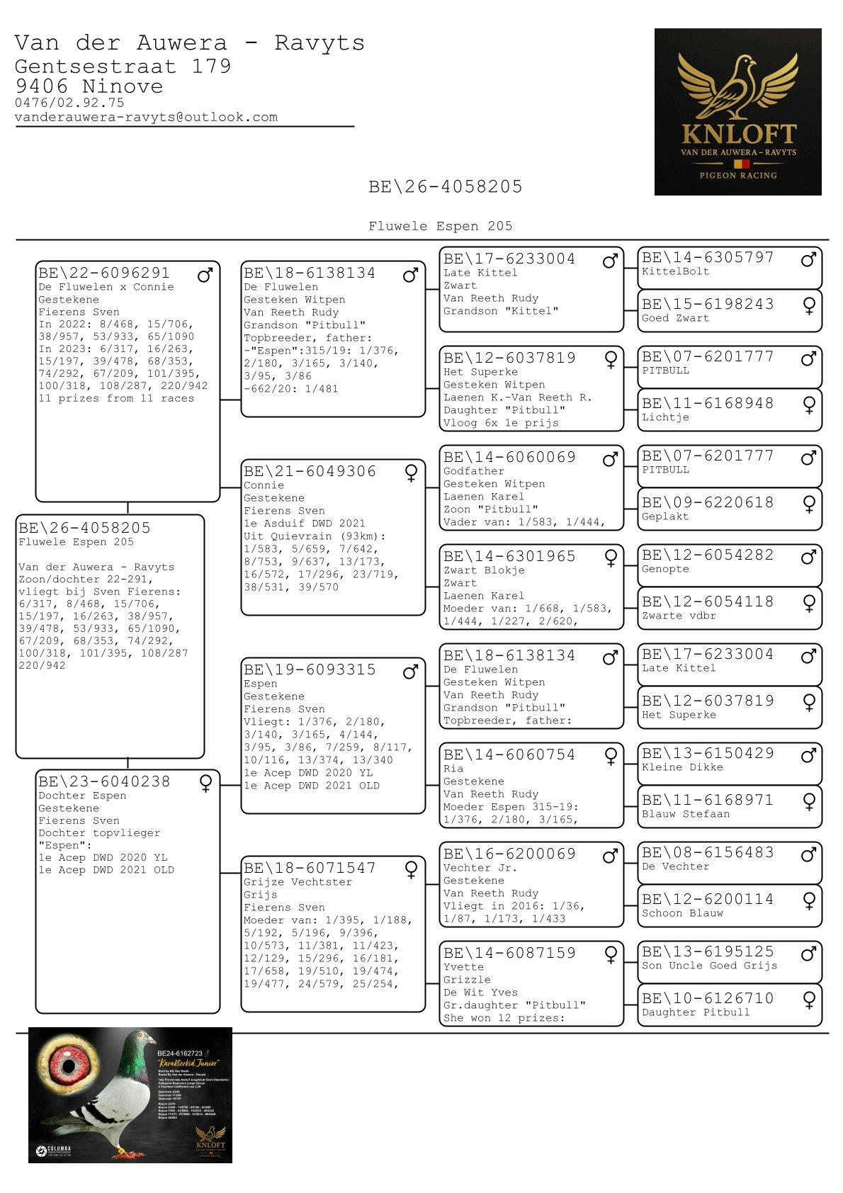 pedigree Fluwele Espen 205