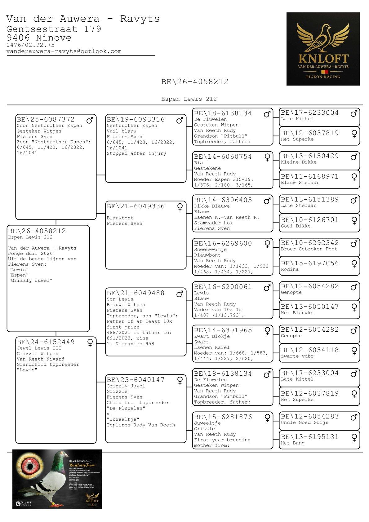 pedigree Espen Lewis 212