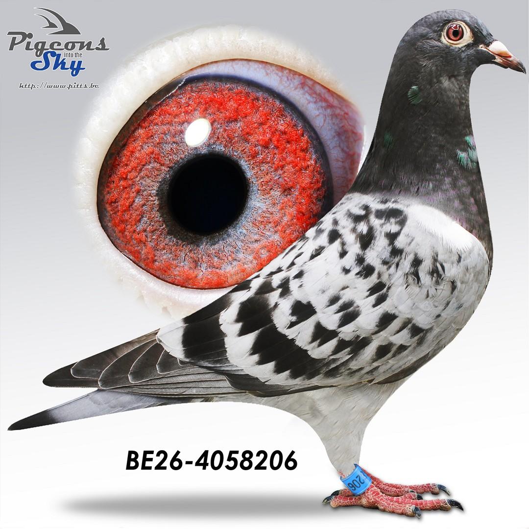 Fluwele Espen 206