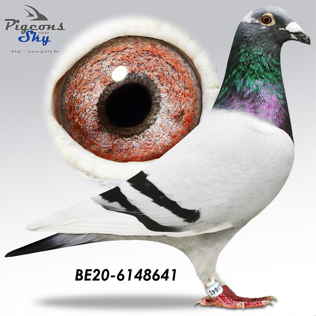 De 641