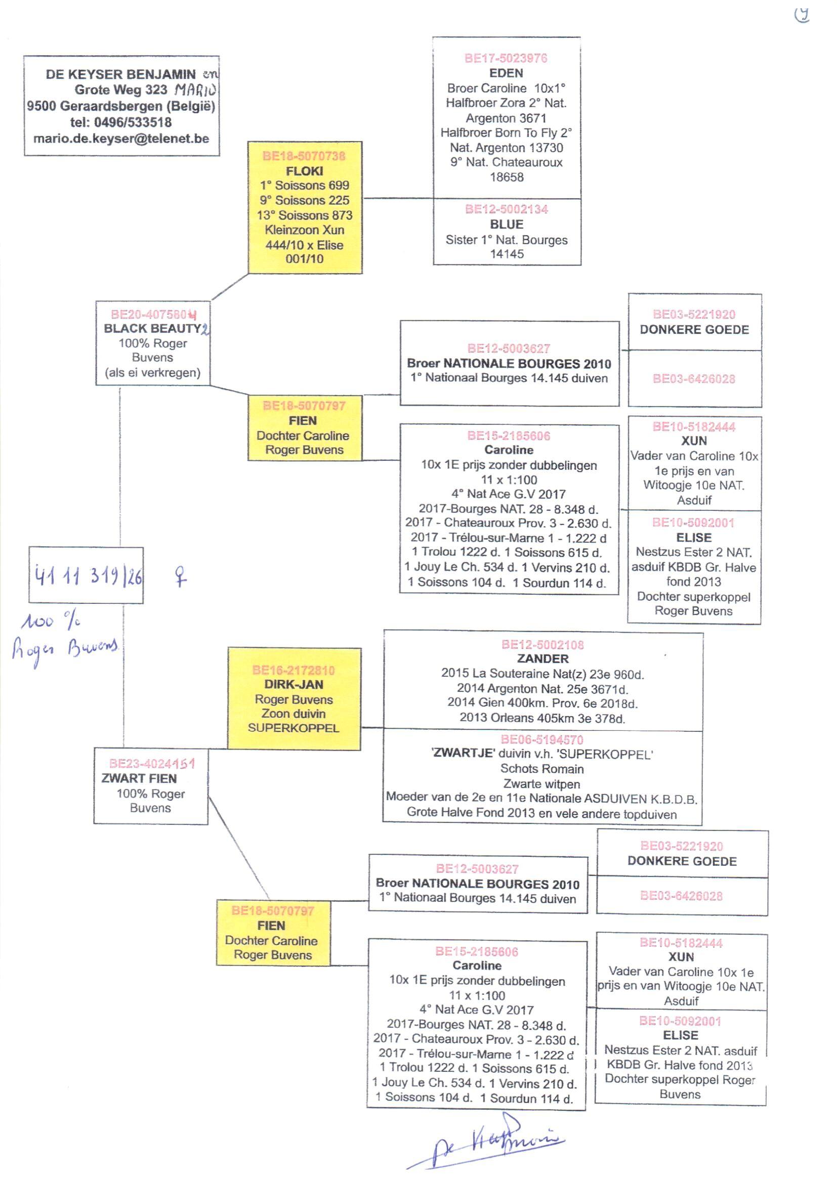 pedigree De 319
