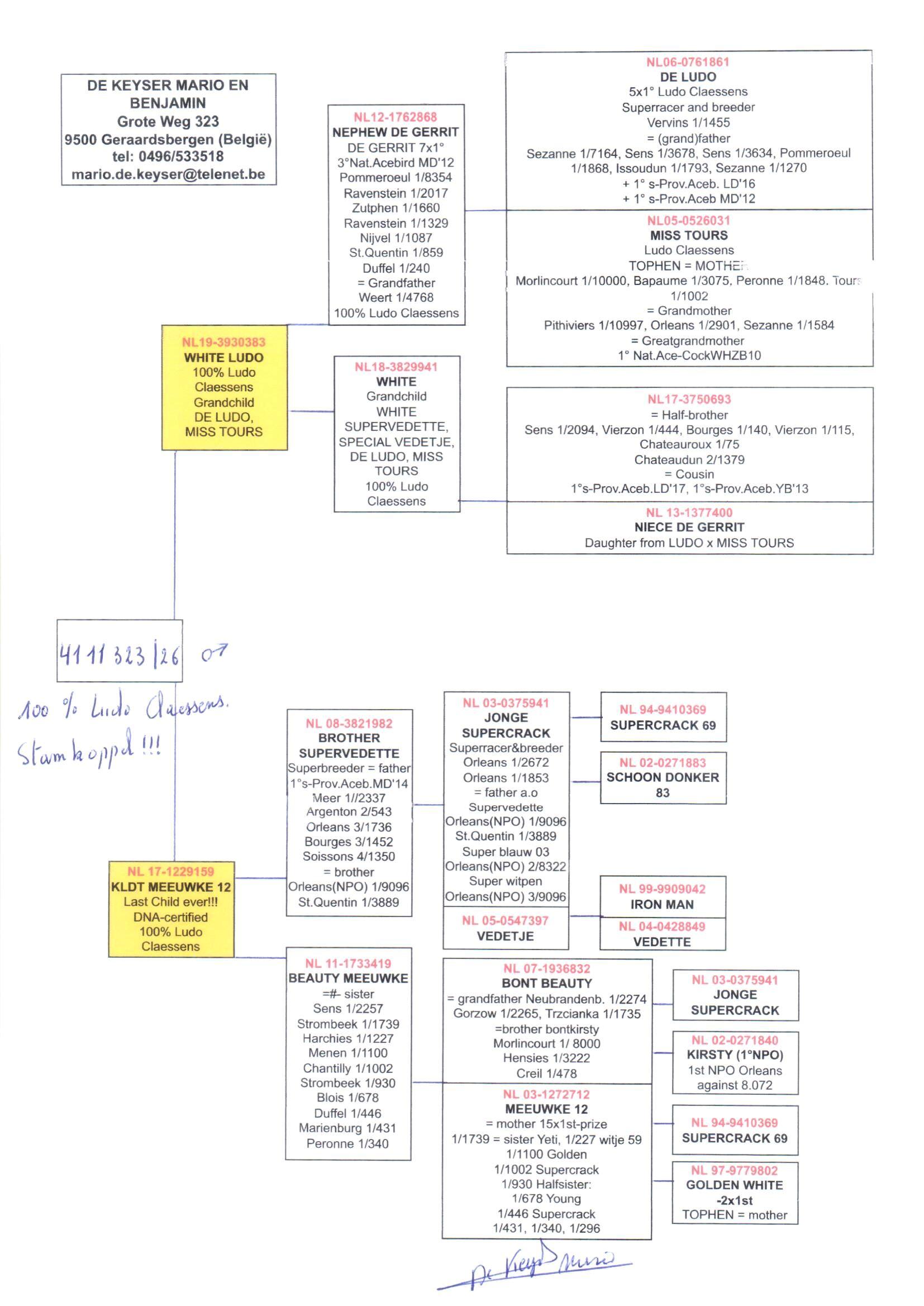 pedigree De 323
