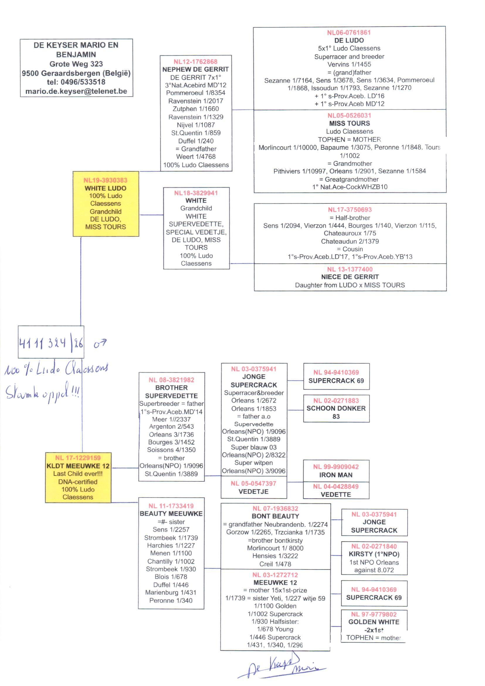 pedigree De 324