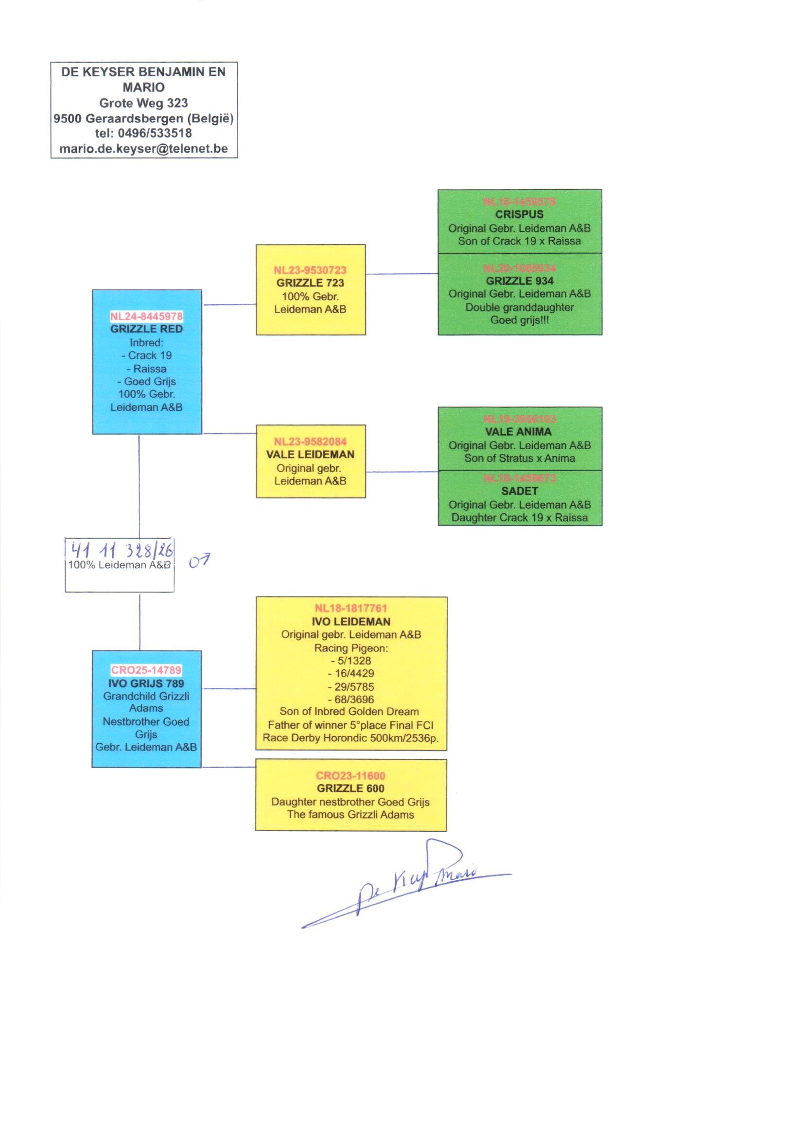 pedigree De 328
