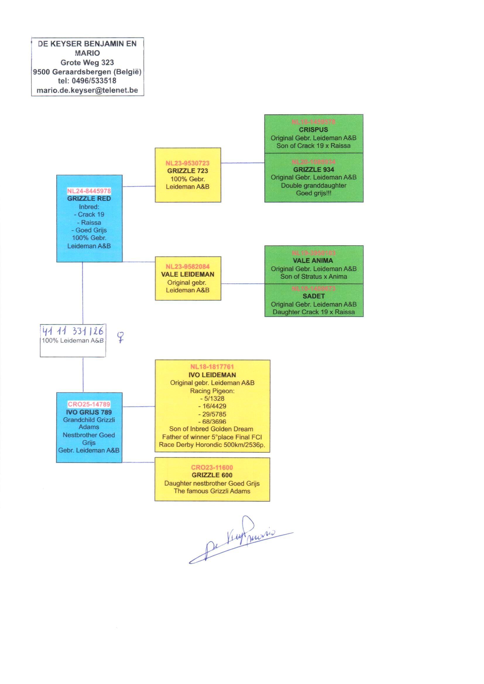 pedigree De 331