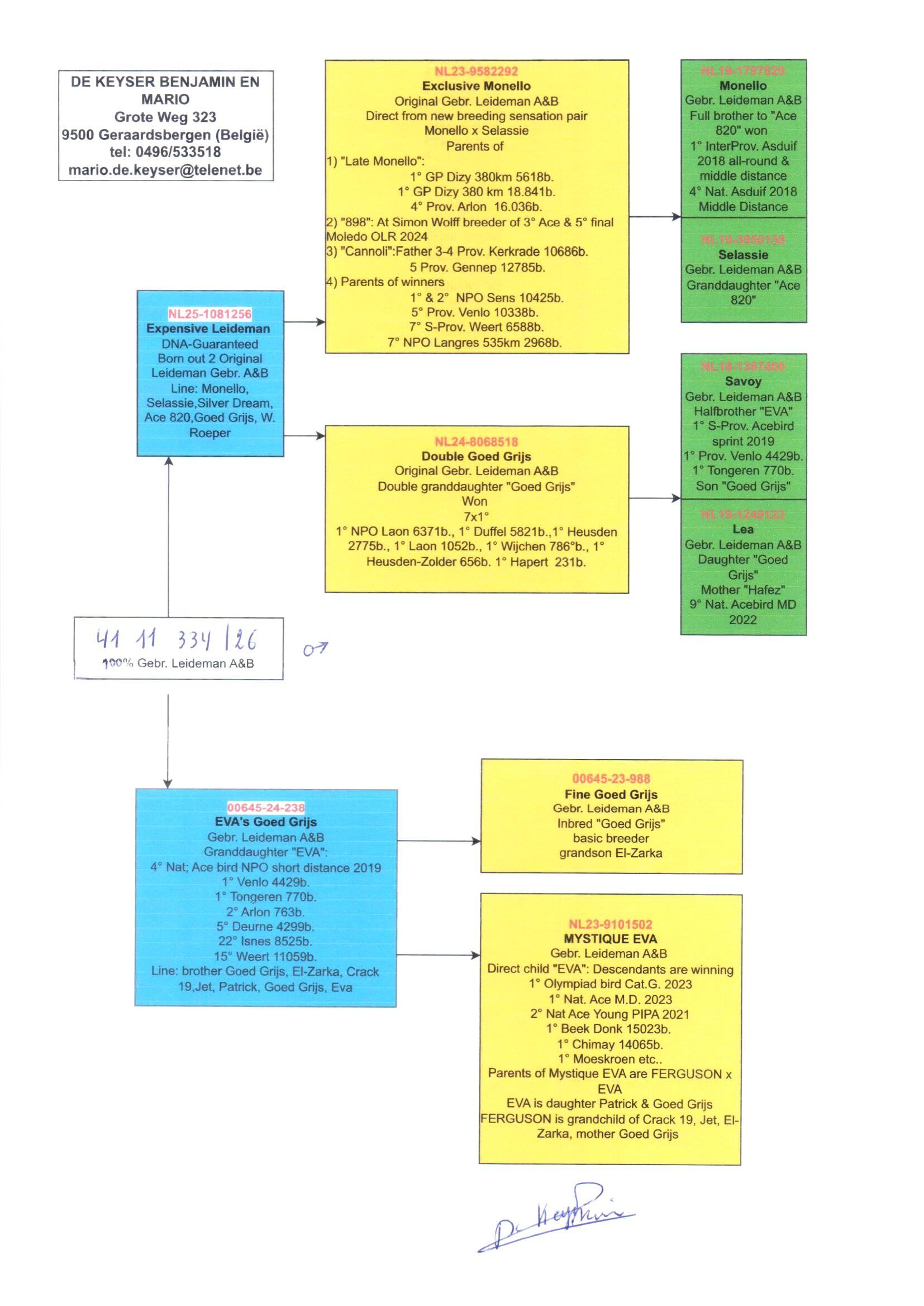 pedigree De 334