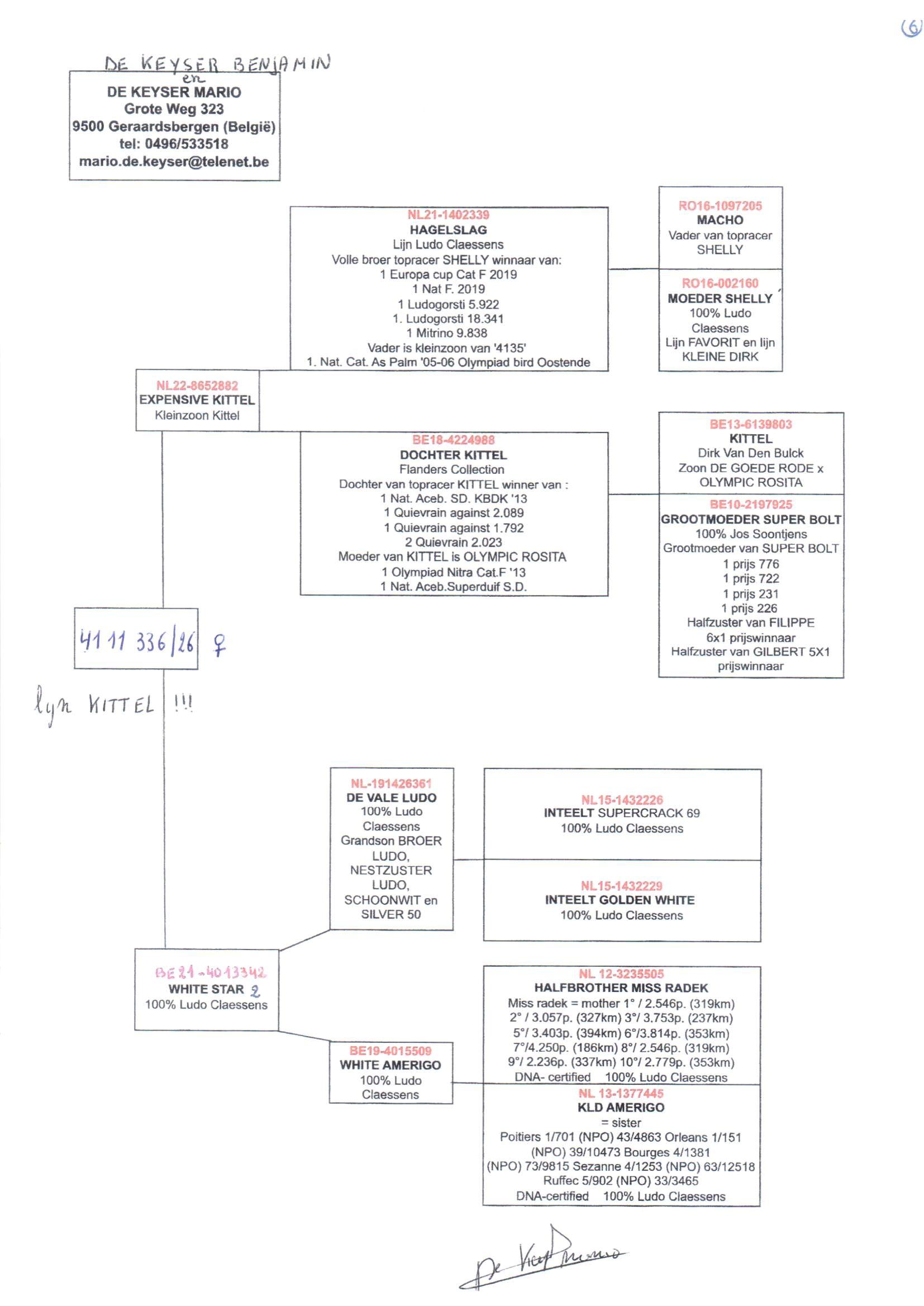 pedigree De 336
