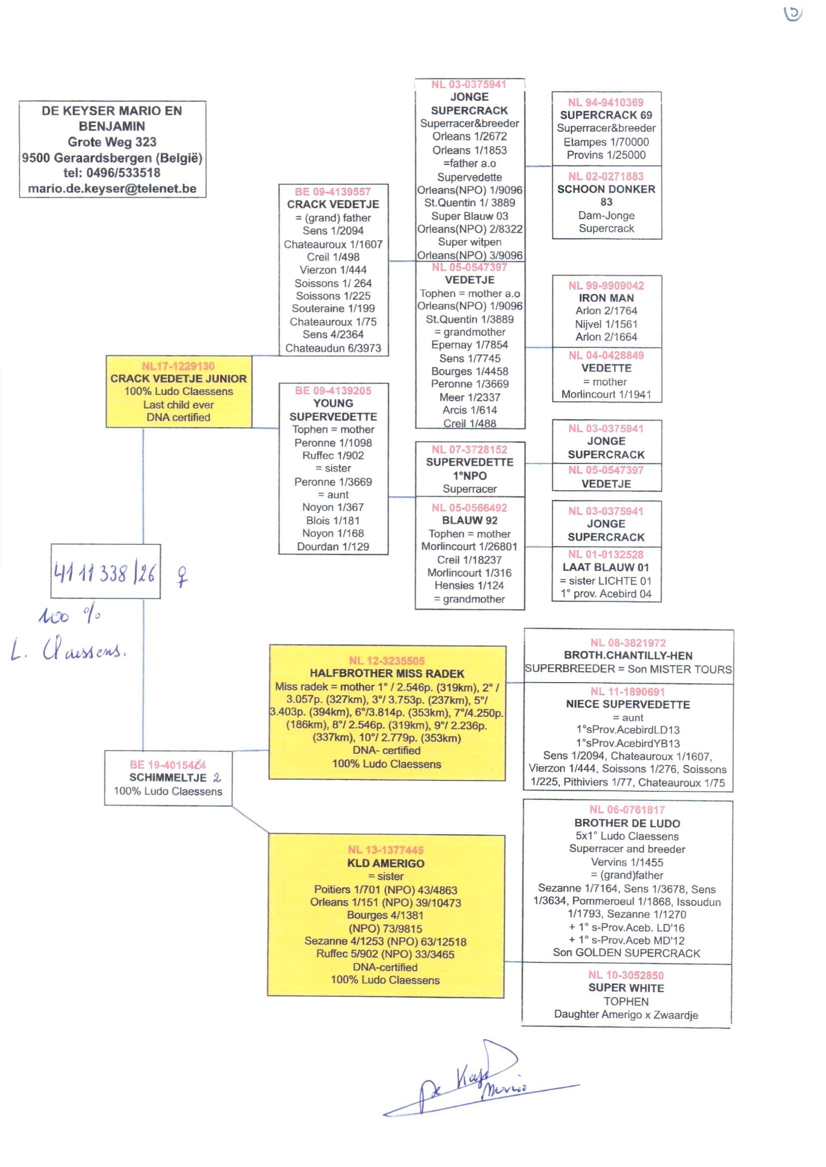 pedigree De 338