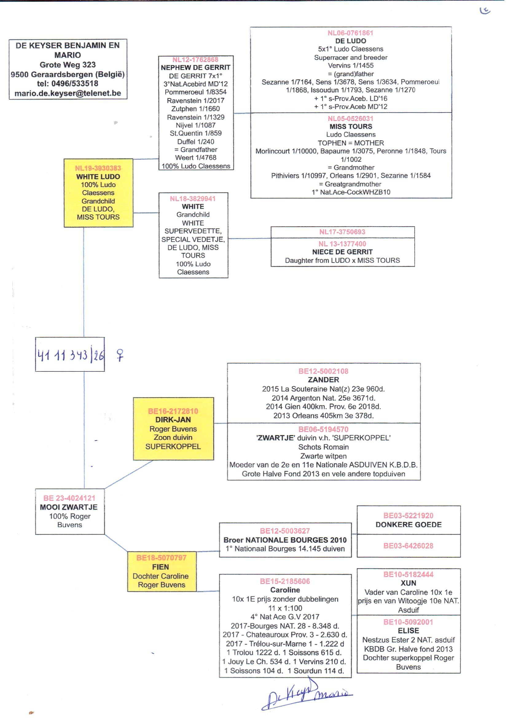 pedigree De 343