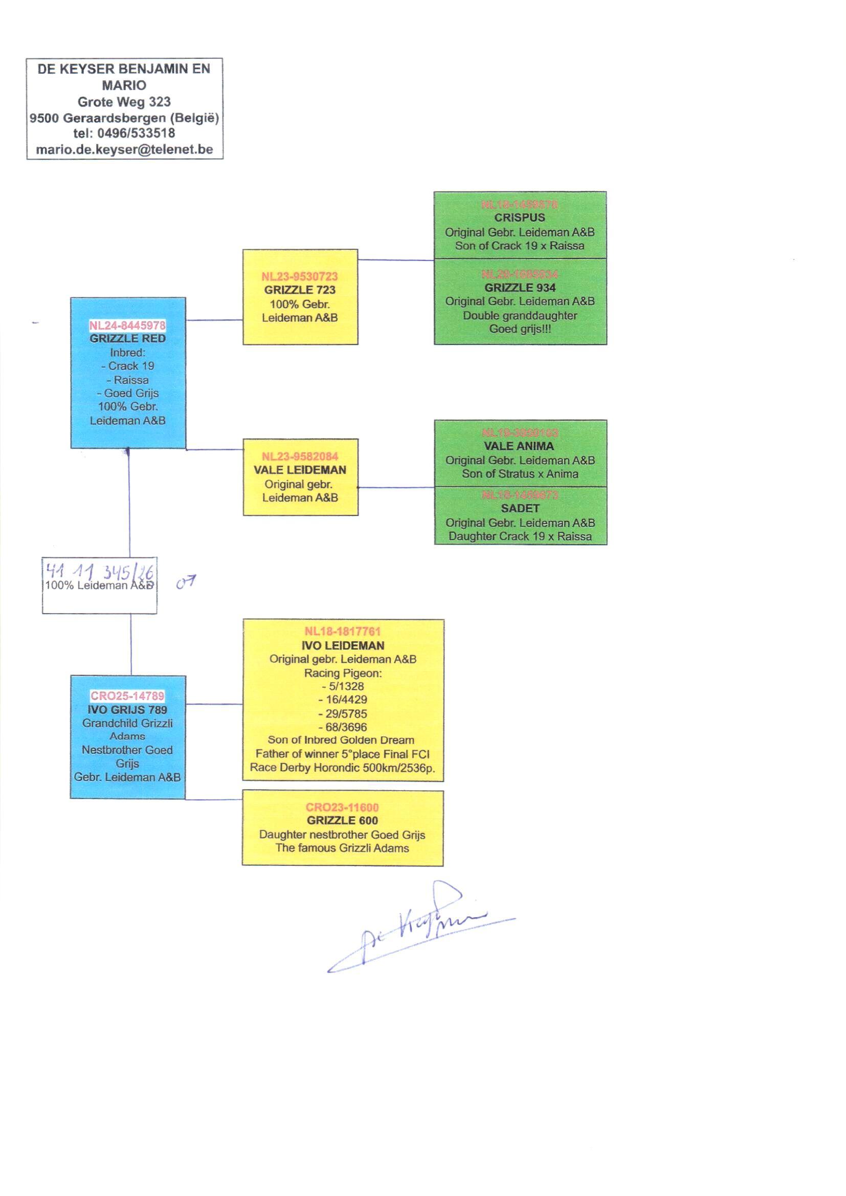 pedigree De 345