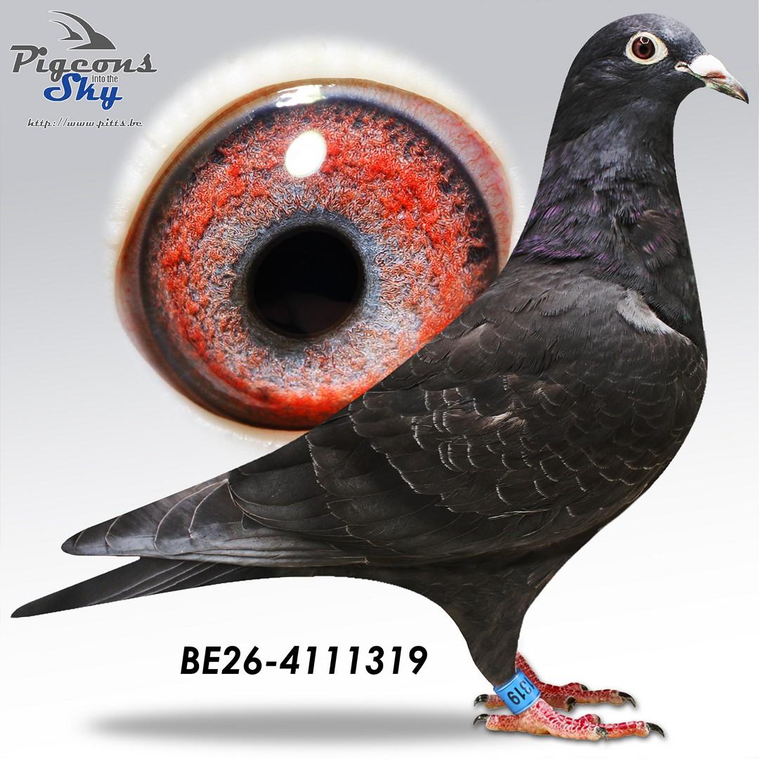 De 319
