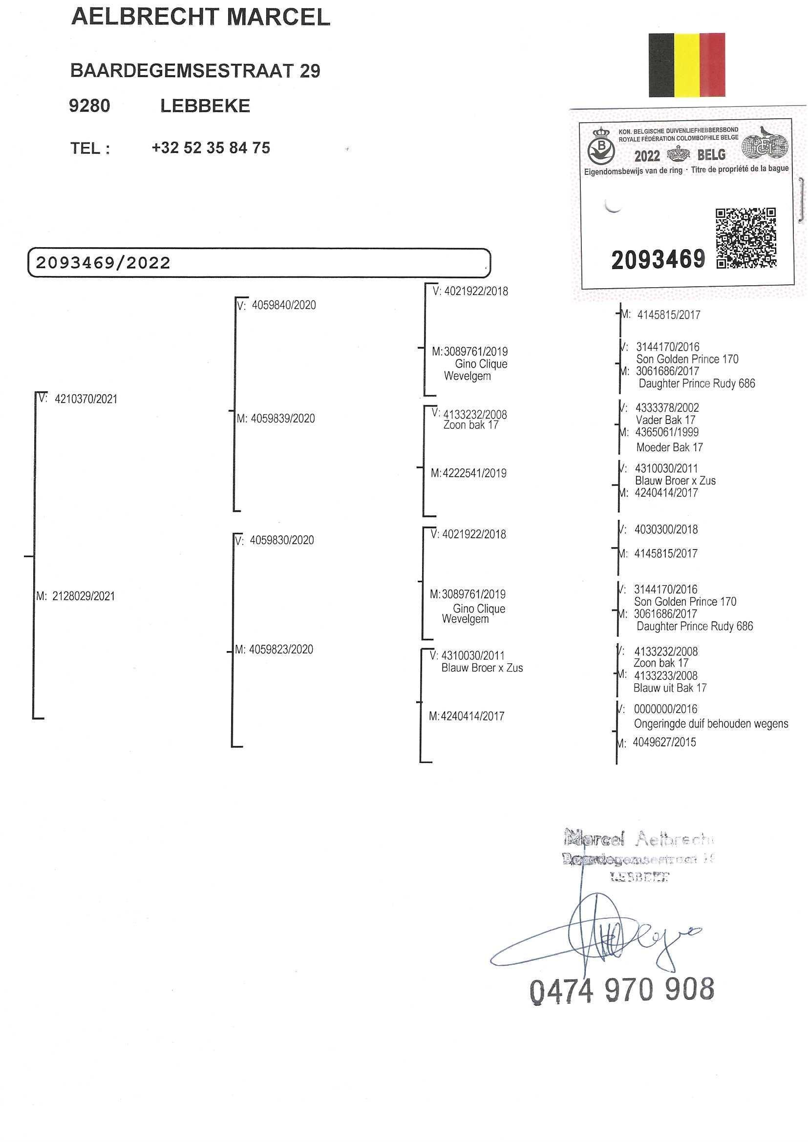 pedigree De 469