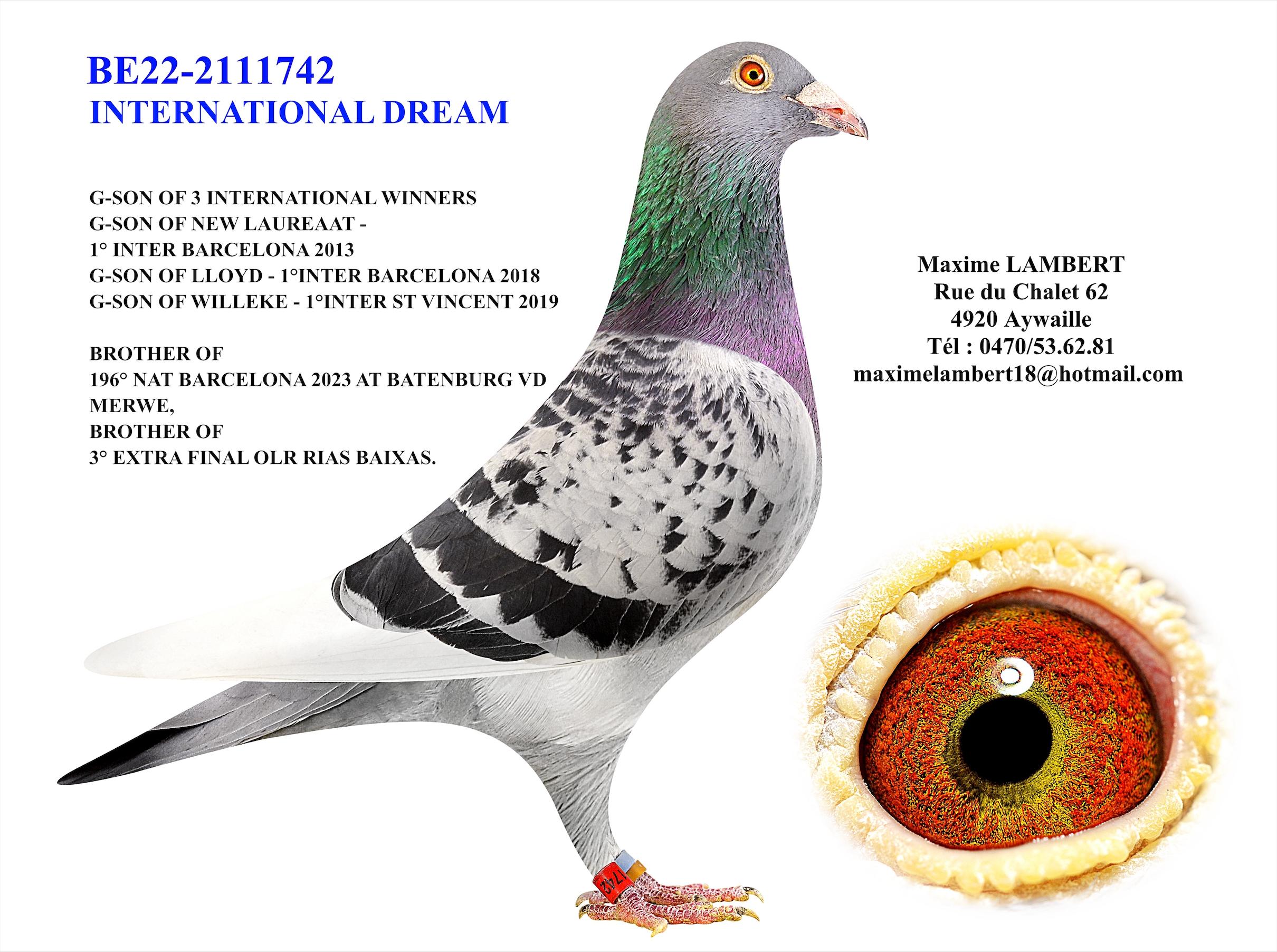 Zoon "International Dream" x "La Blanche" - Familie
