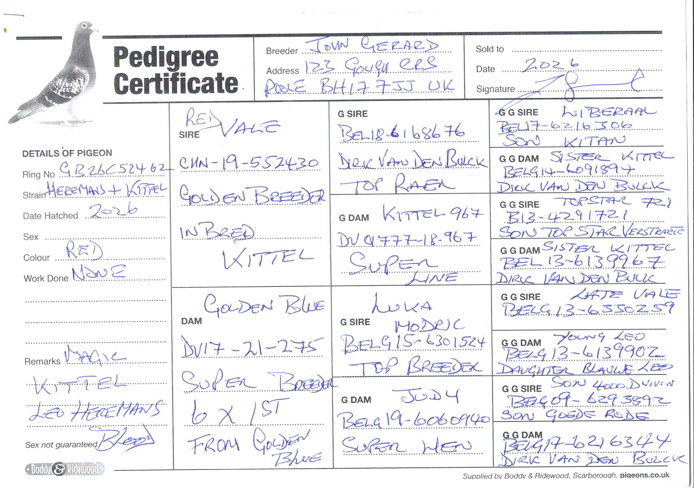 pedigree De 462