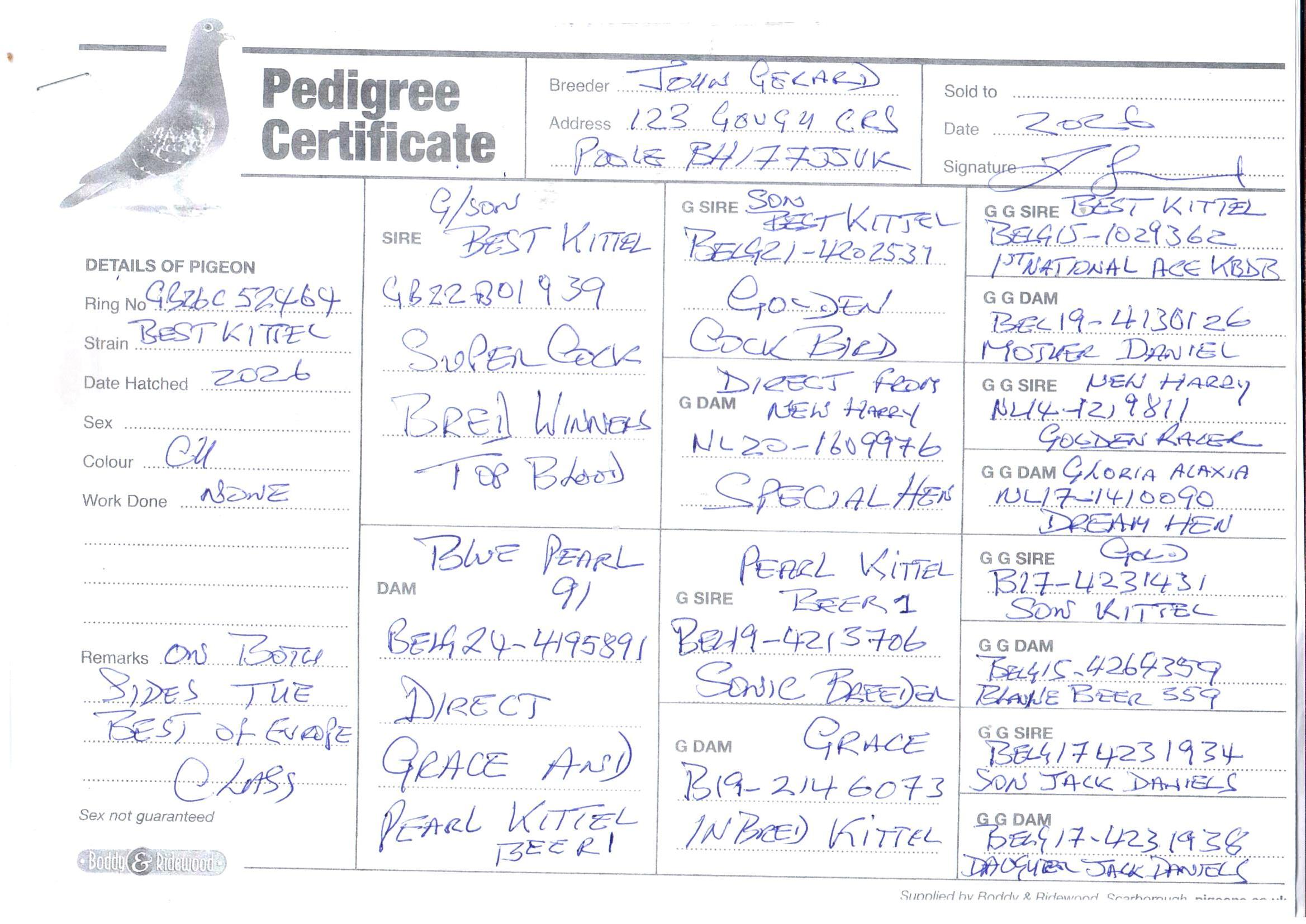 pedigree De 464