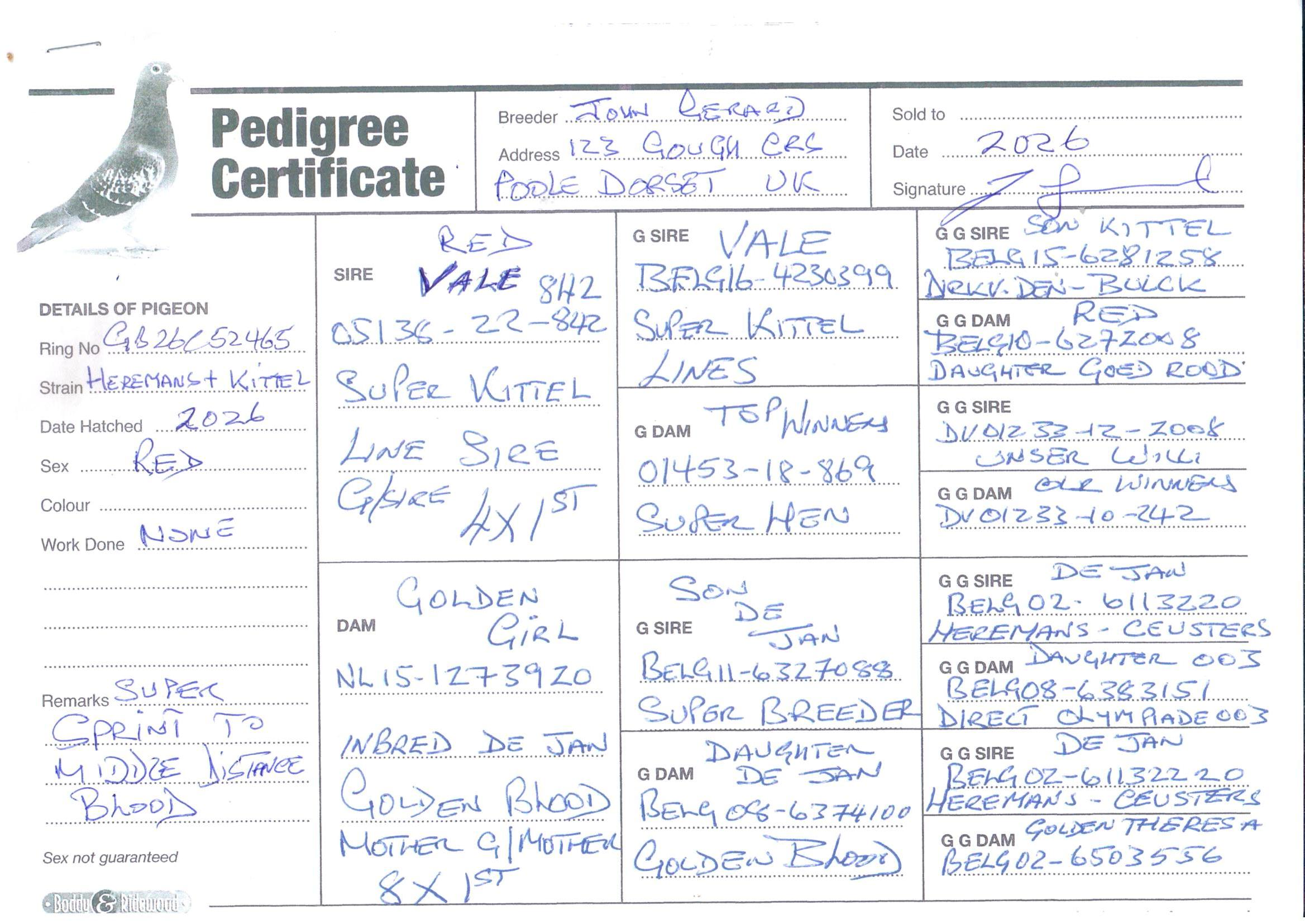 pedigree De 465