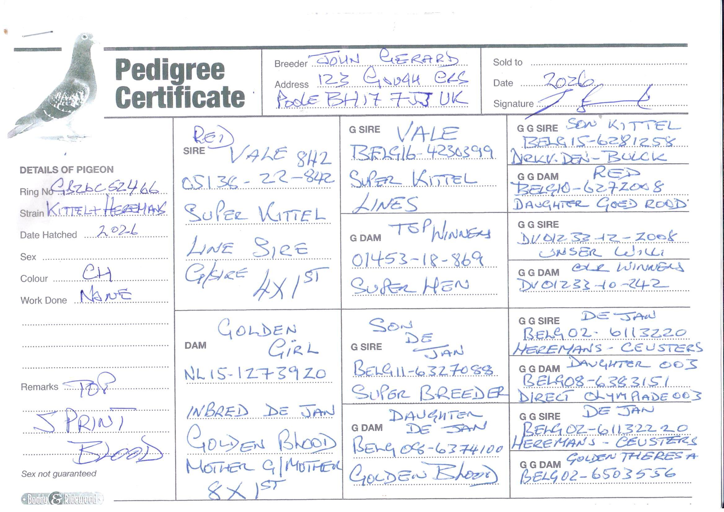 pedigree De 466