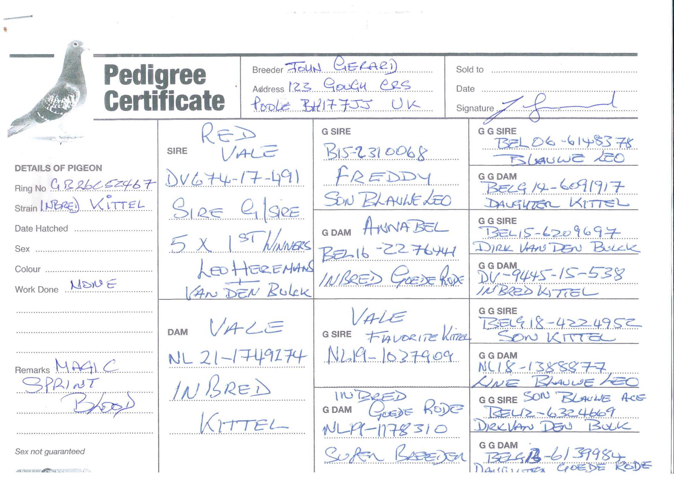 pedigree De 467