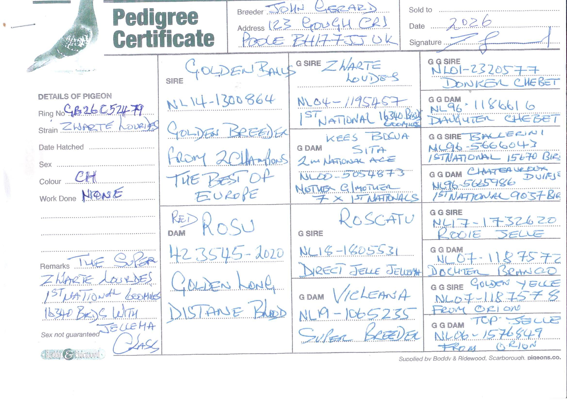 pedigree De 479