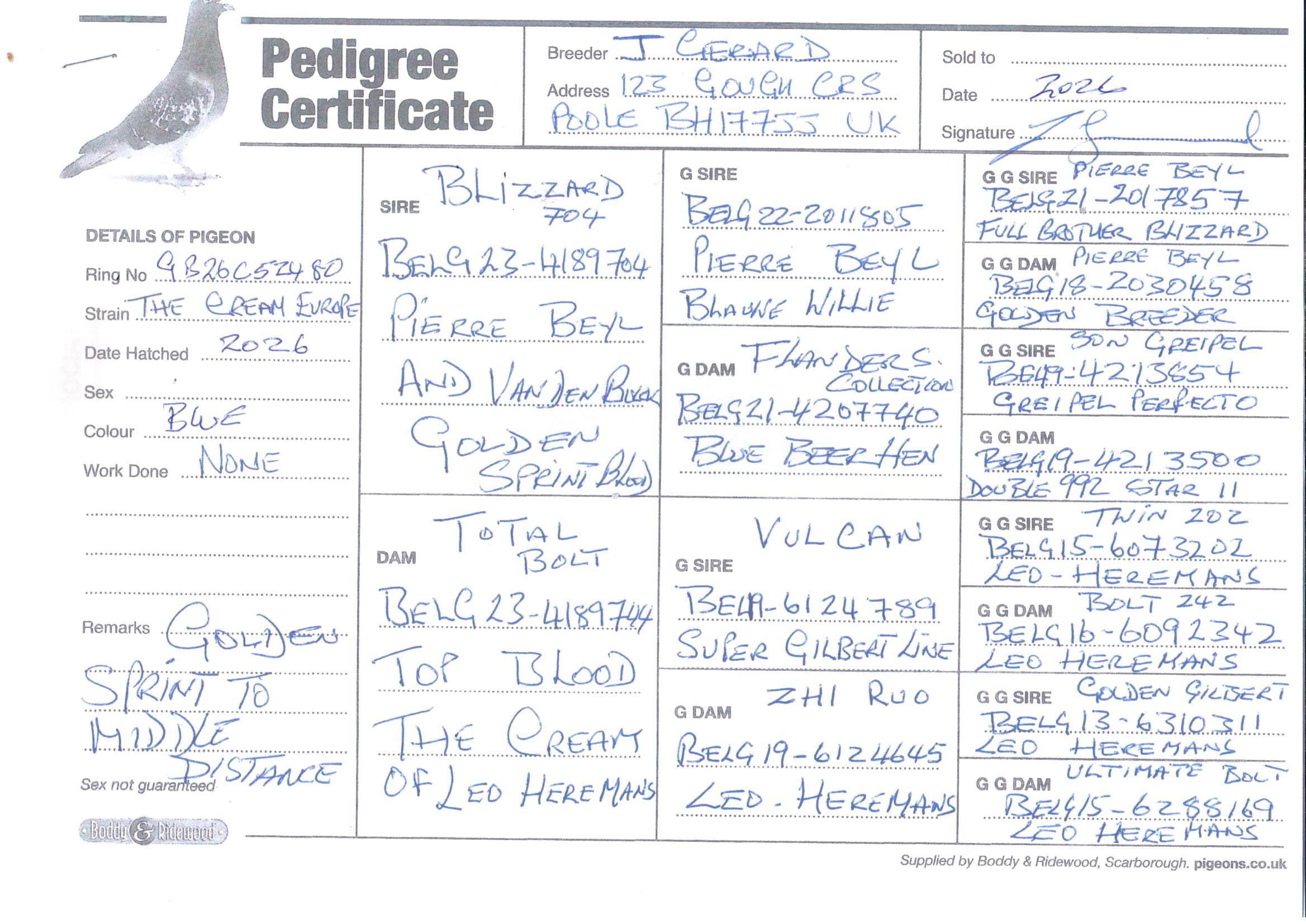 pedigree De 480