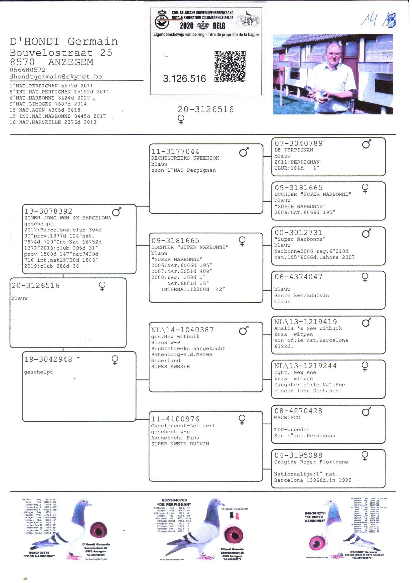 pedigree De 516