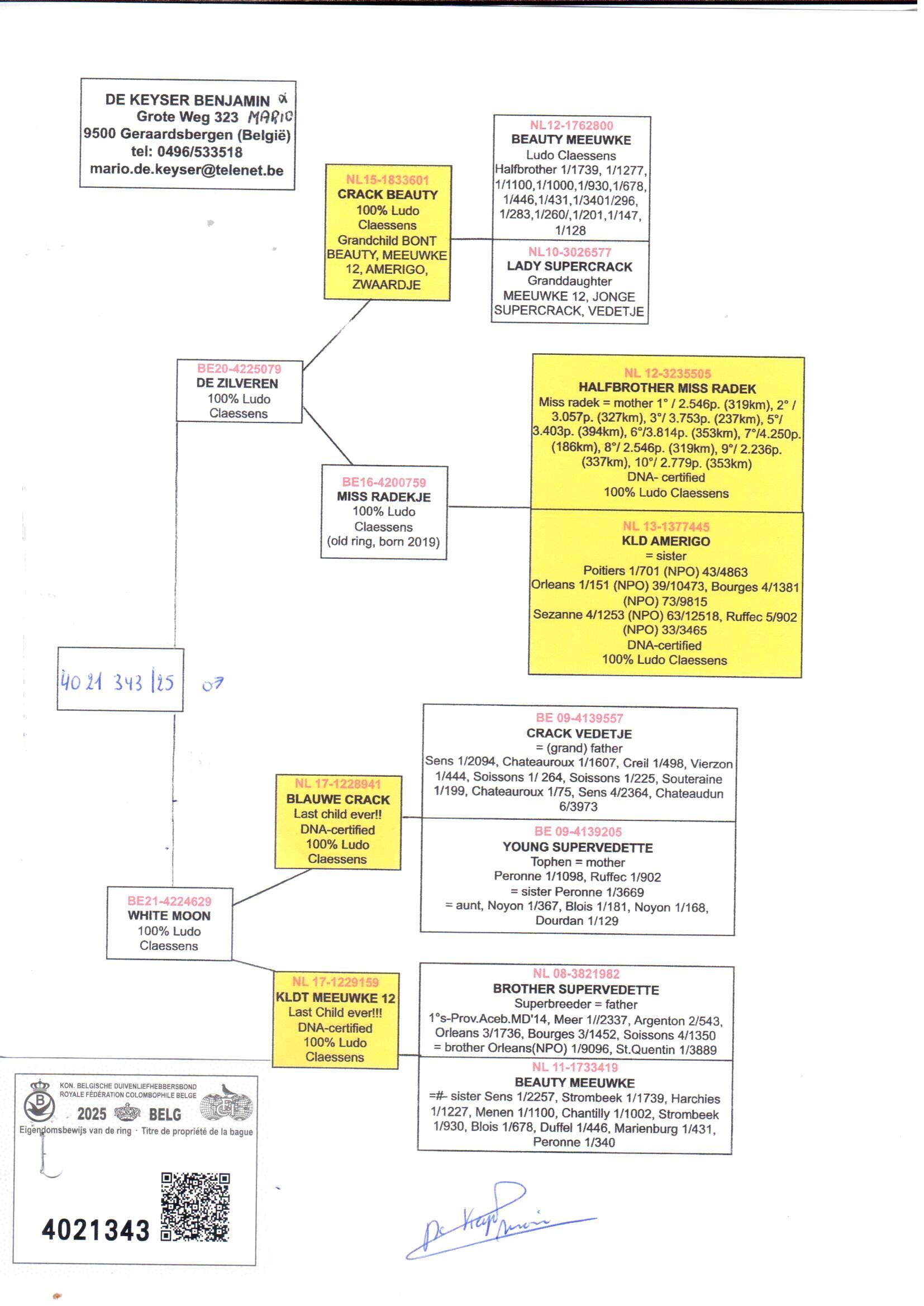 pedigree De 343