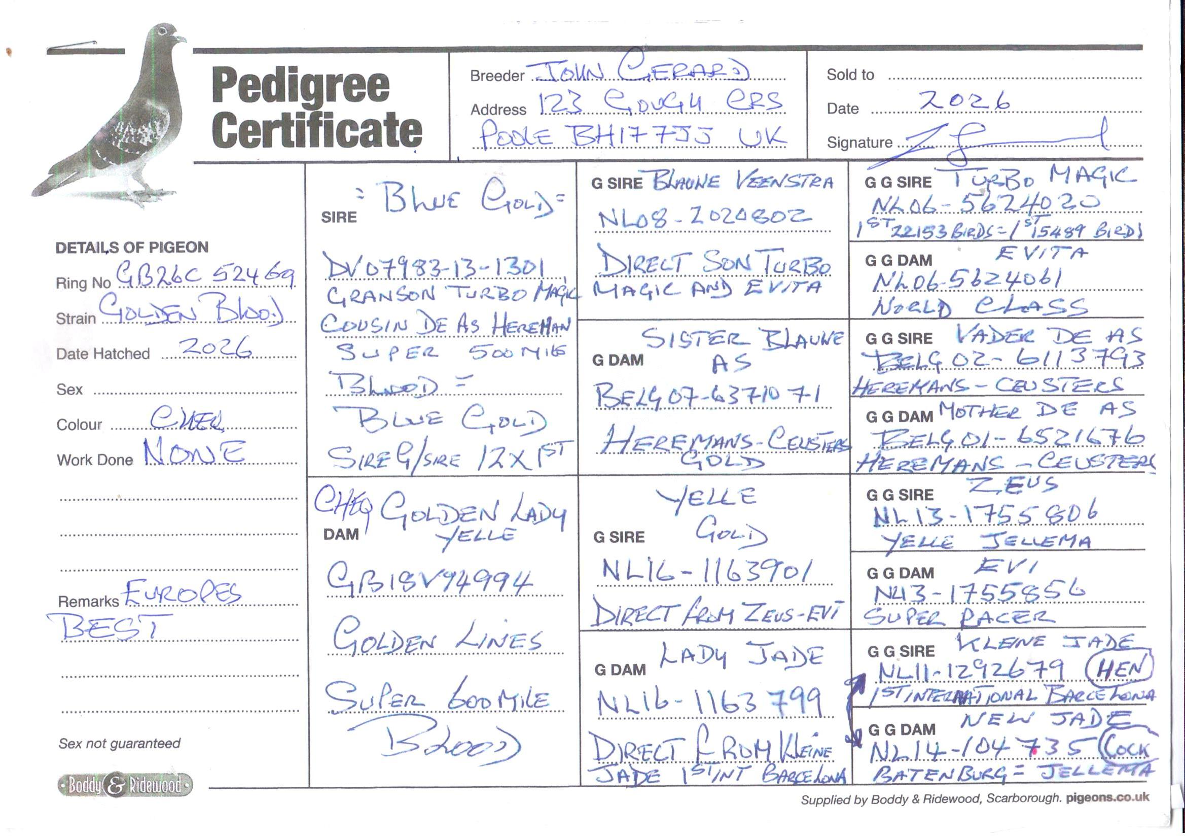 pedigree De 469