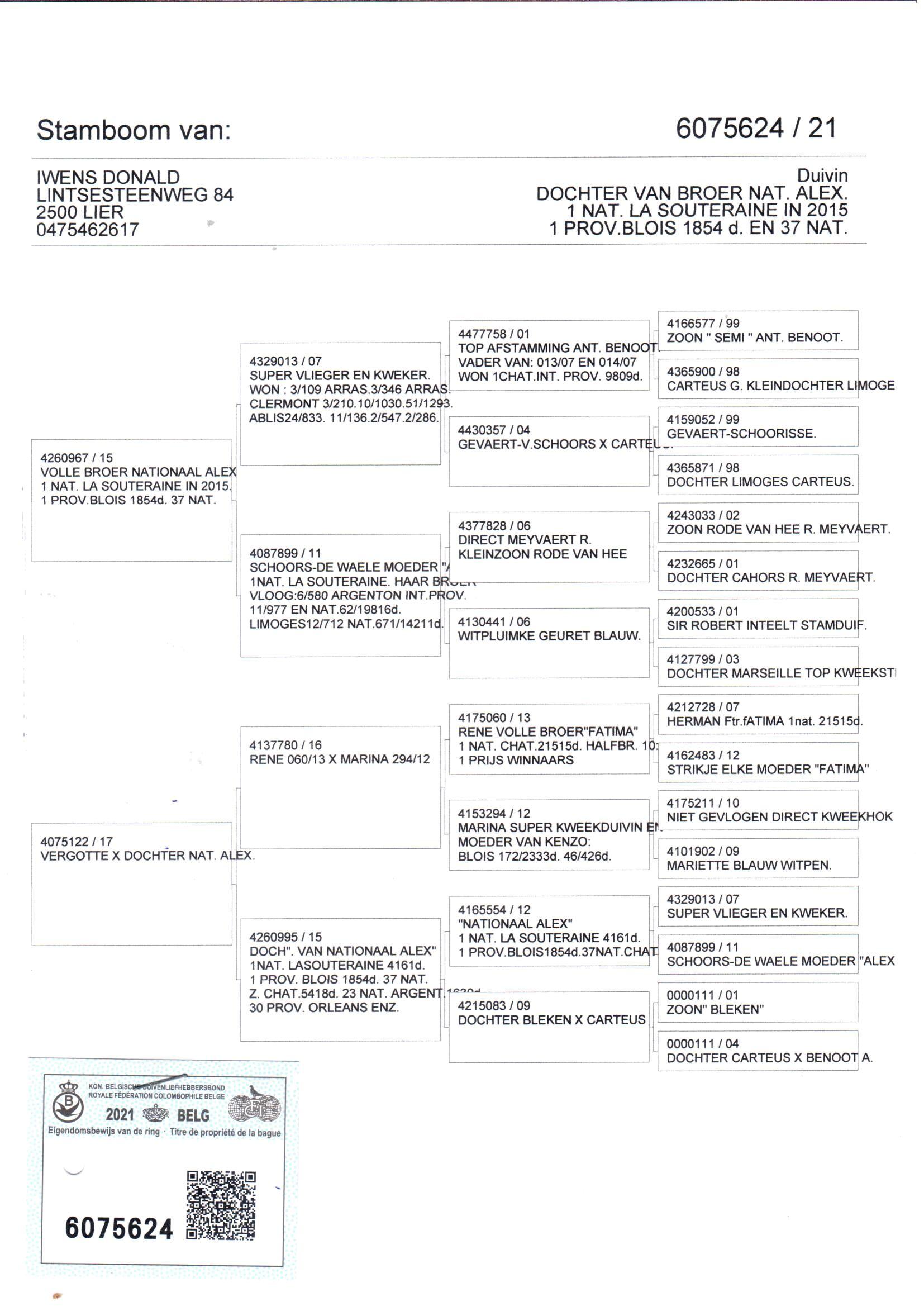 pedigree De 624 (+ moeder gratis: lot 4)