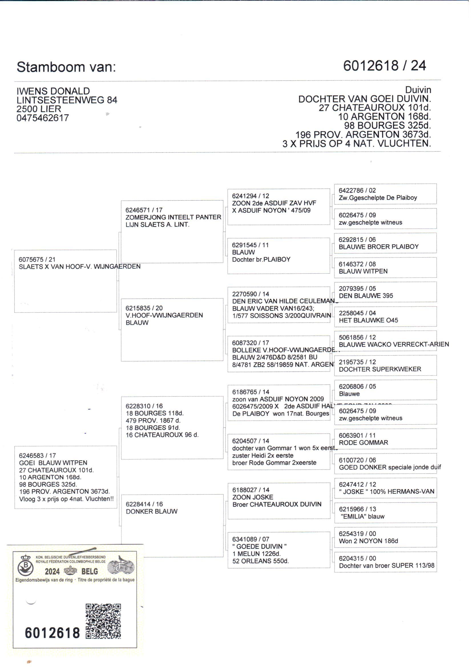 pedigree De 618