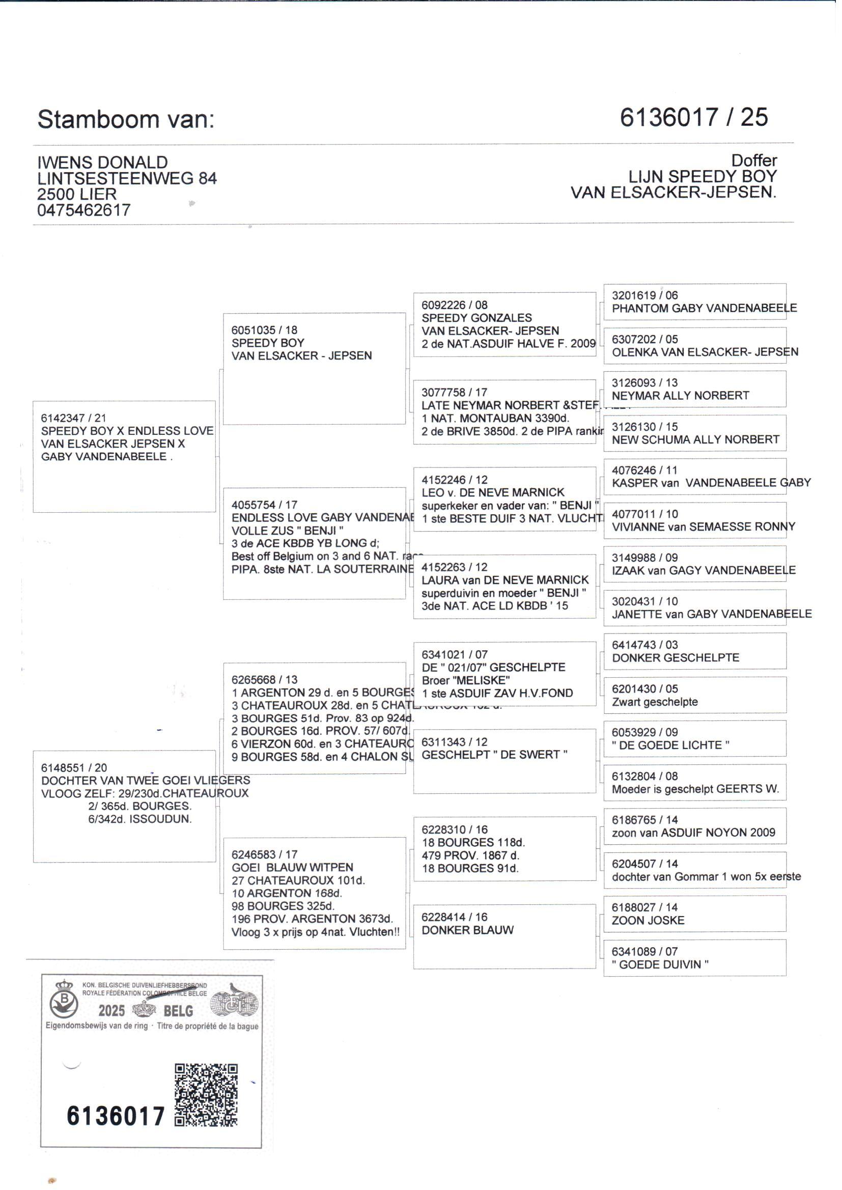 pedigree De 017